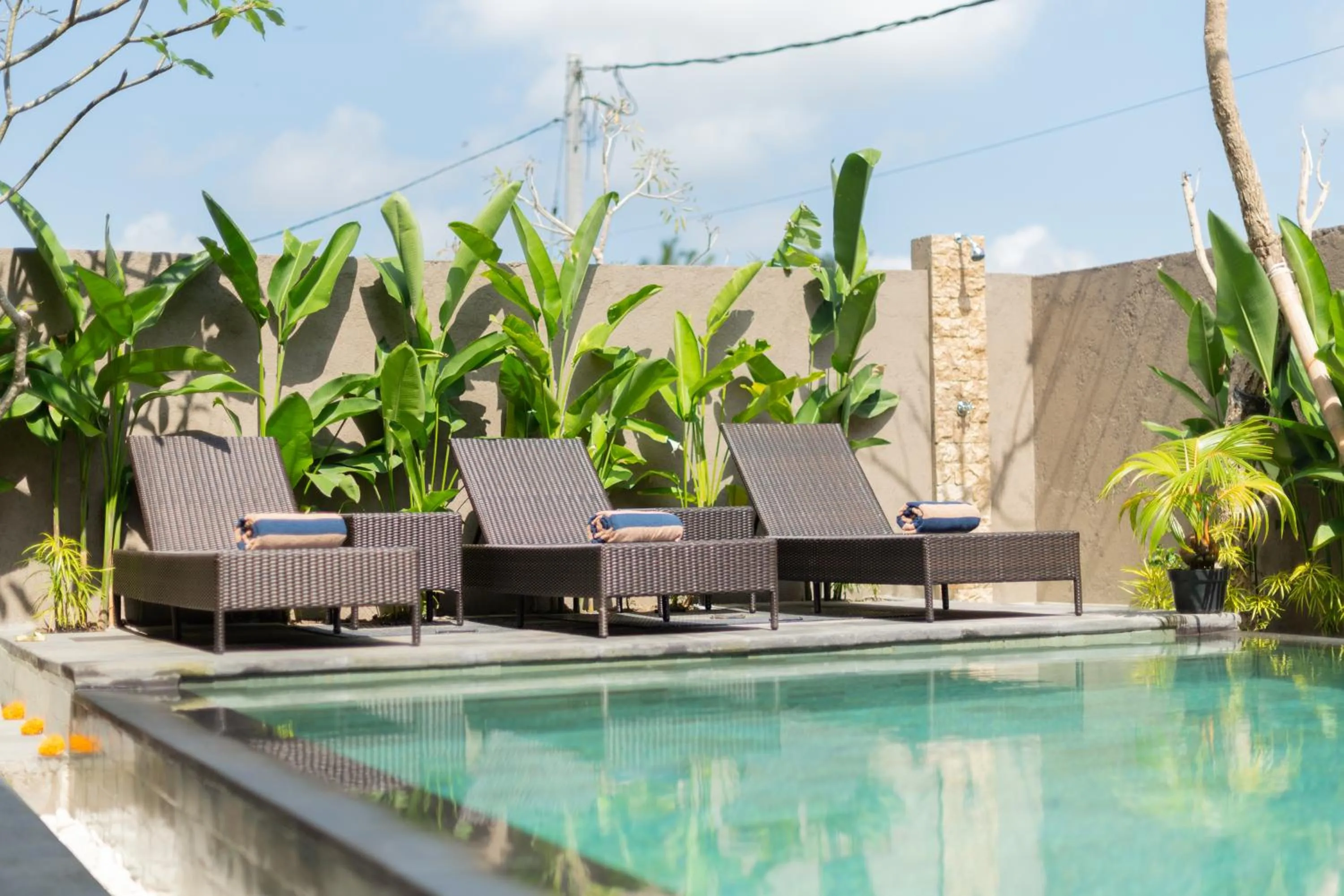 Swimming pool in Villa Semujan Ubud