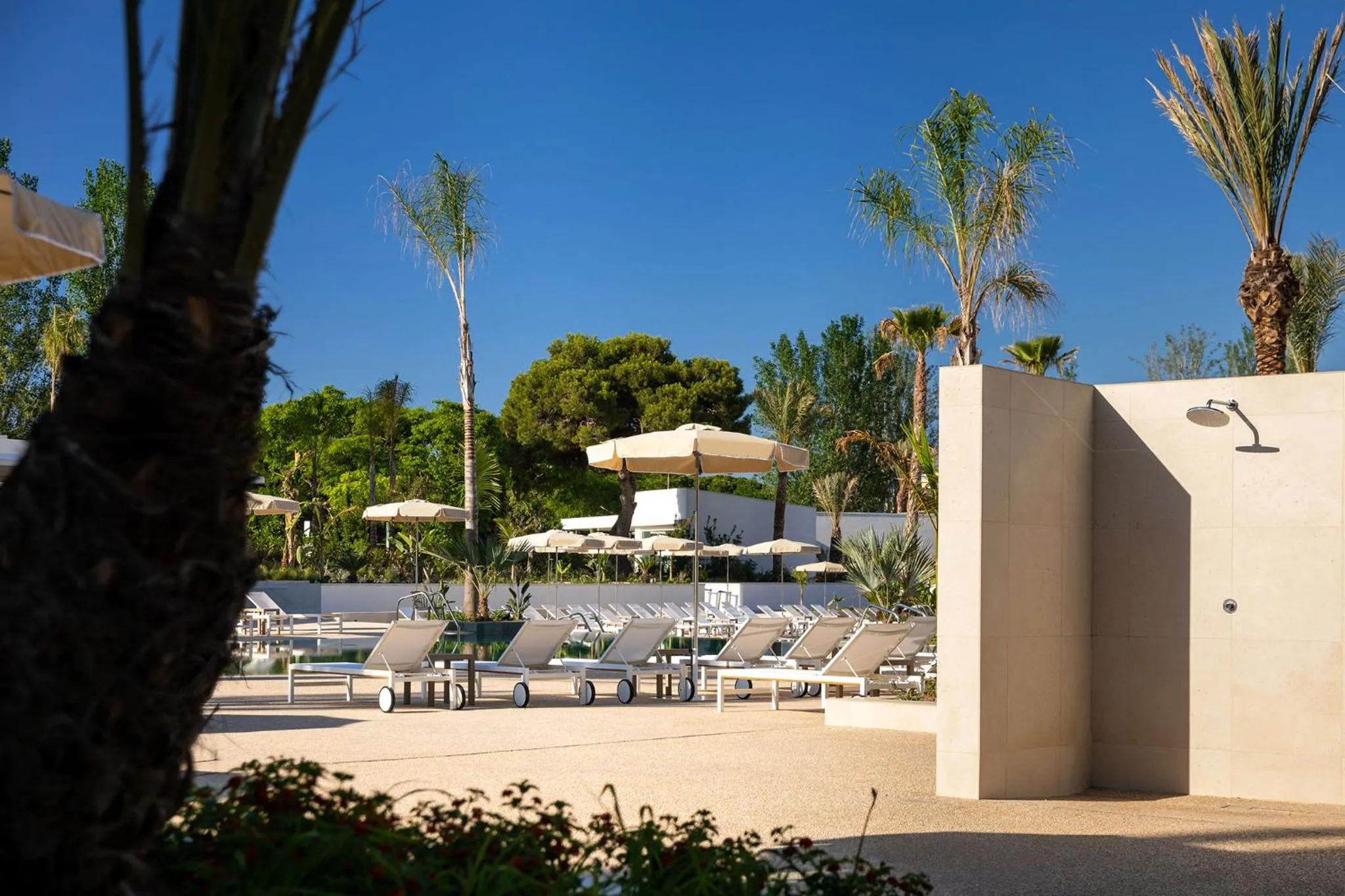 Swimming pool in Atzavara Hotel & Spa