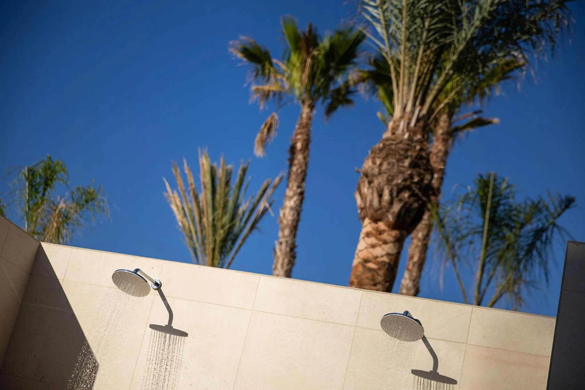 Swimming pool in Atzavara Hotel & Spa