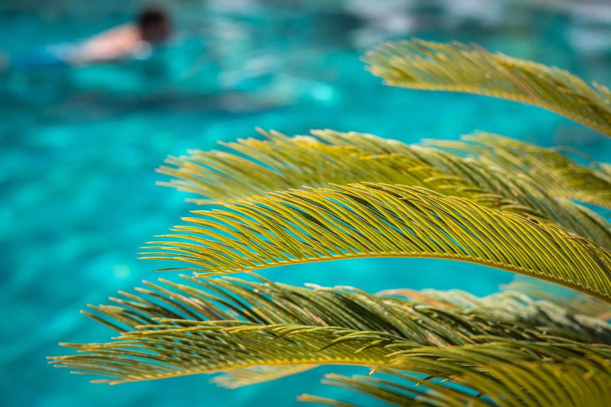 Swimming pool in Atzavara Hotel & Spa