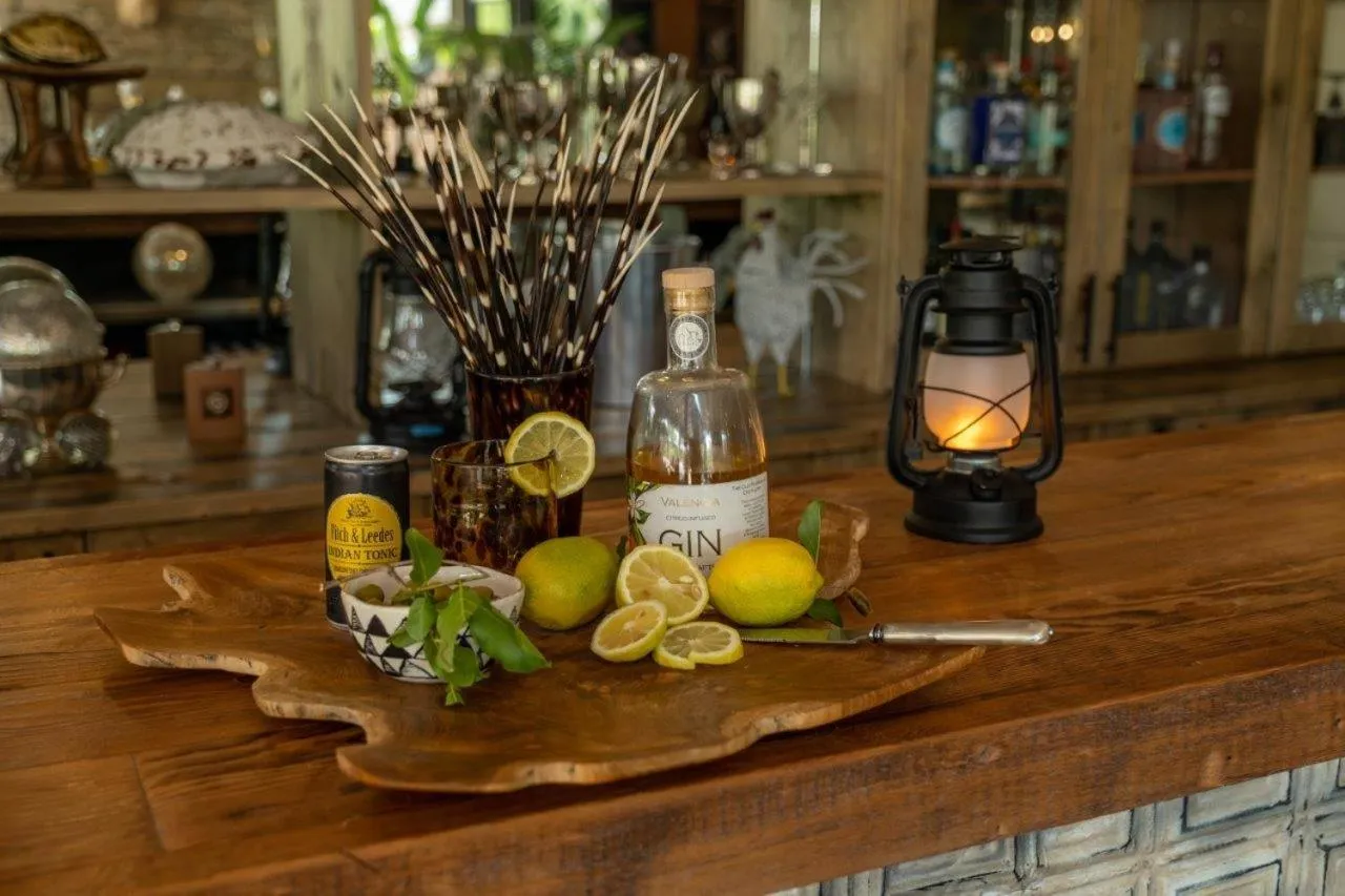 Lounge or bar in Safari Moon Luxury Bush Lodge