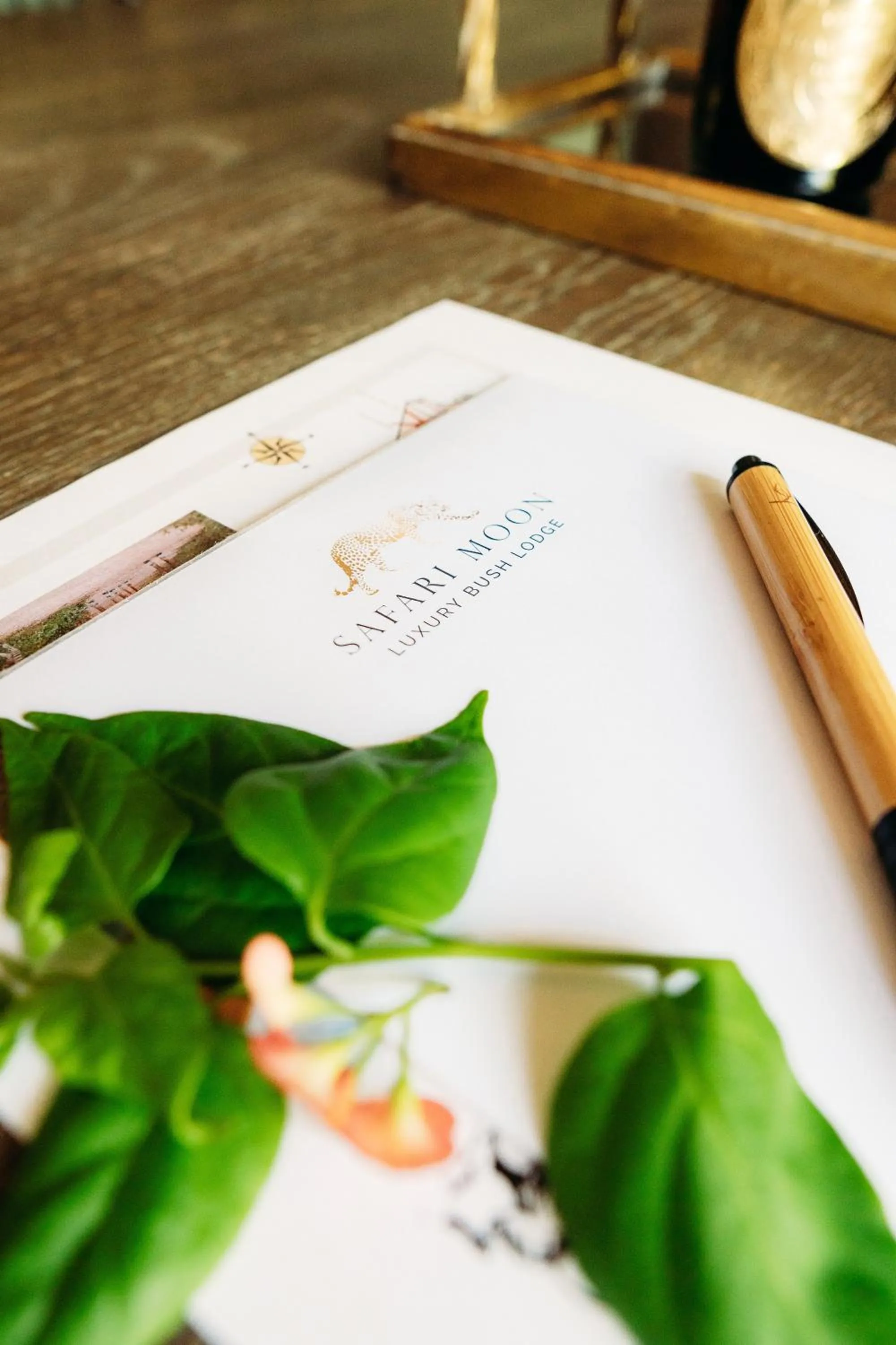 Safari Moon Luxury Bush Lodge