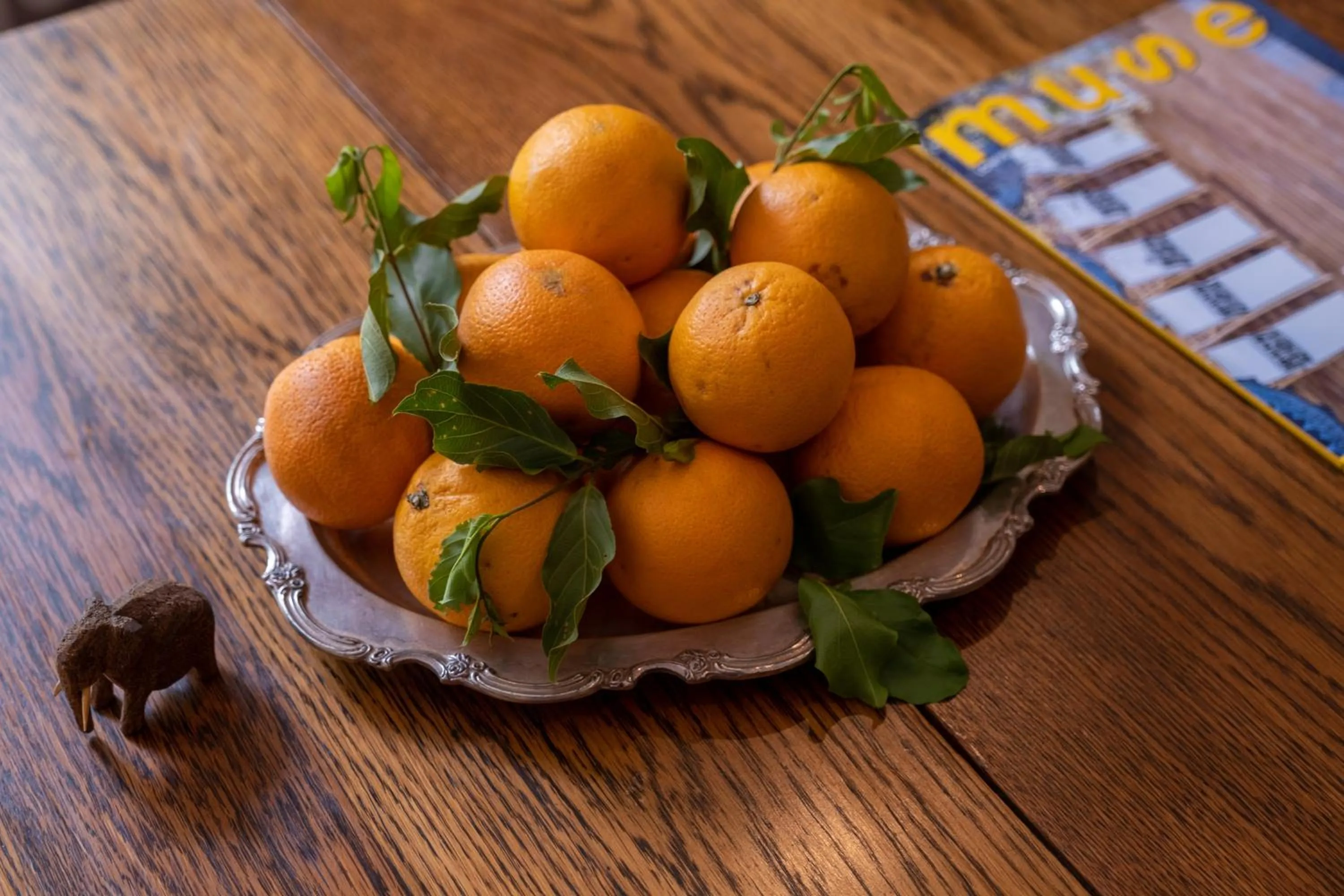 Food in Safari Moon Luxury Bush Lodge