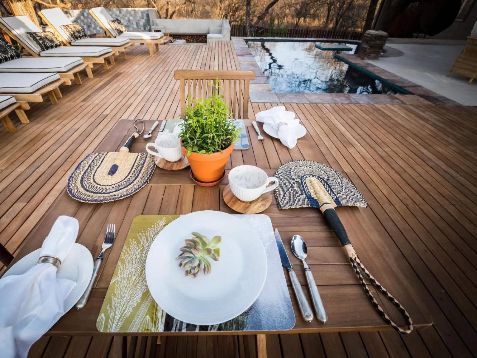 Property building in Safari Moon Luxury Bush Lodge