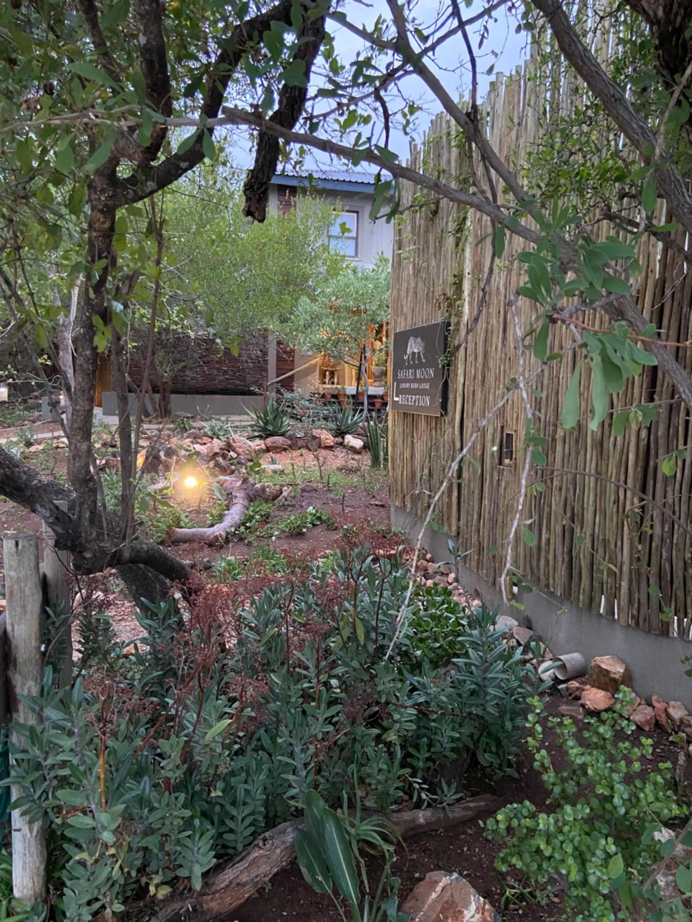 Garden view in Safari Moon Luxury Bush Lodge