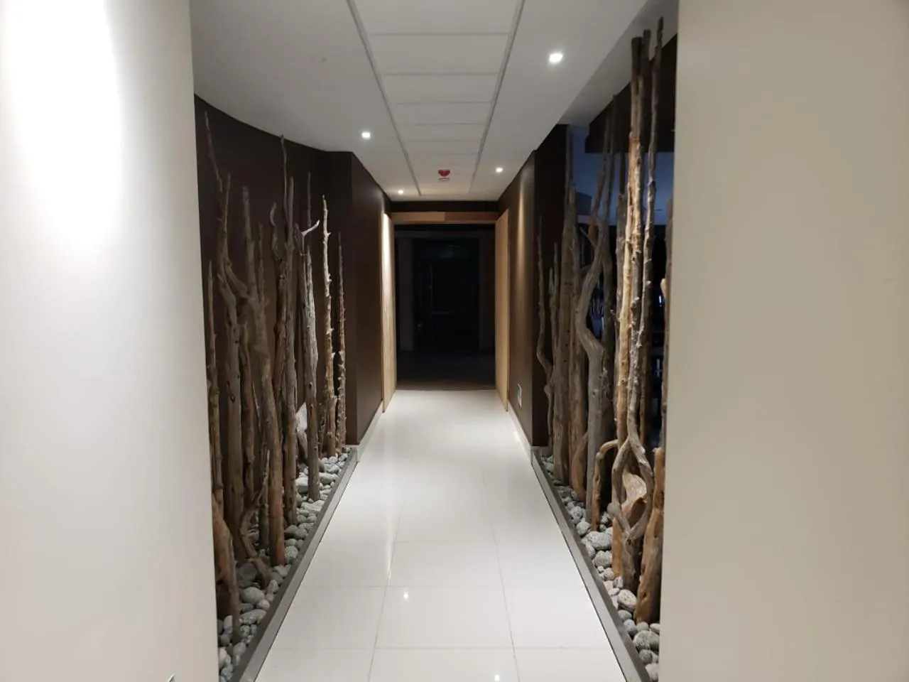 Area and facilities in Hotel Diego de Almagro Castro