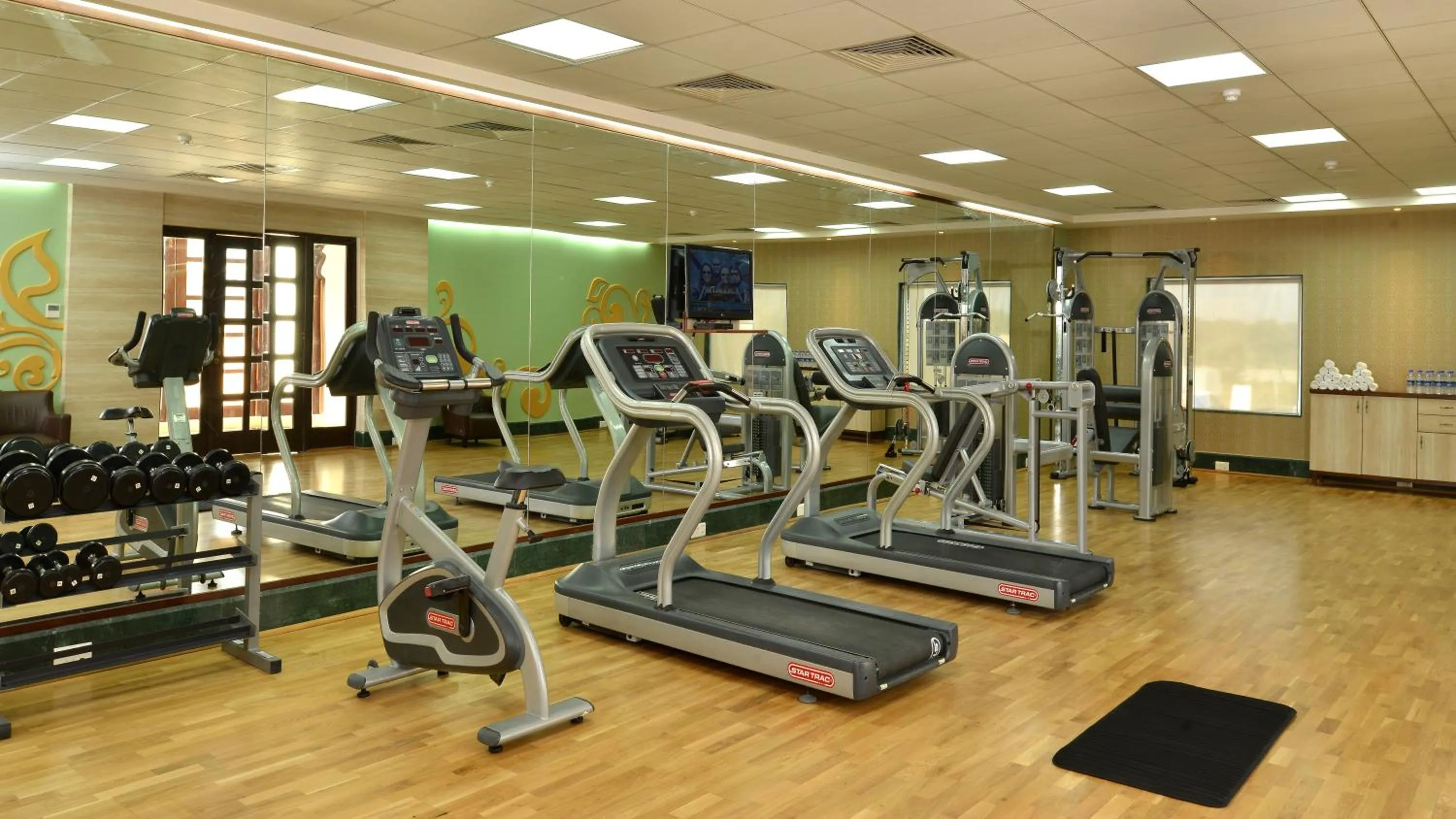 Fitness centre/facilities in Indana Palace, Jodhpur