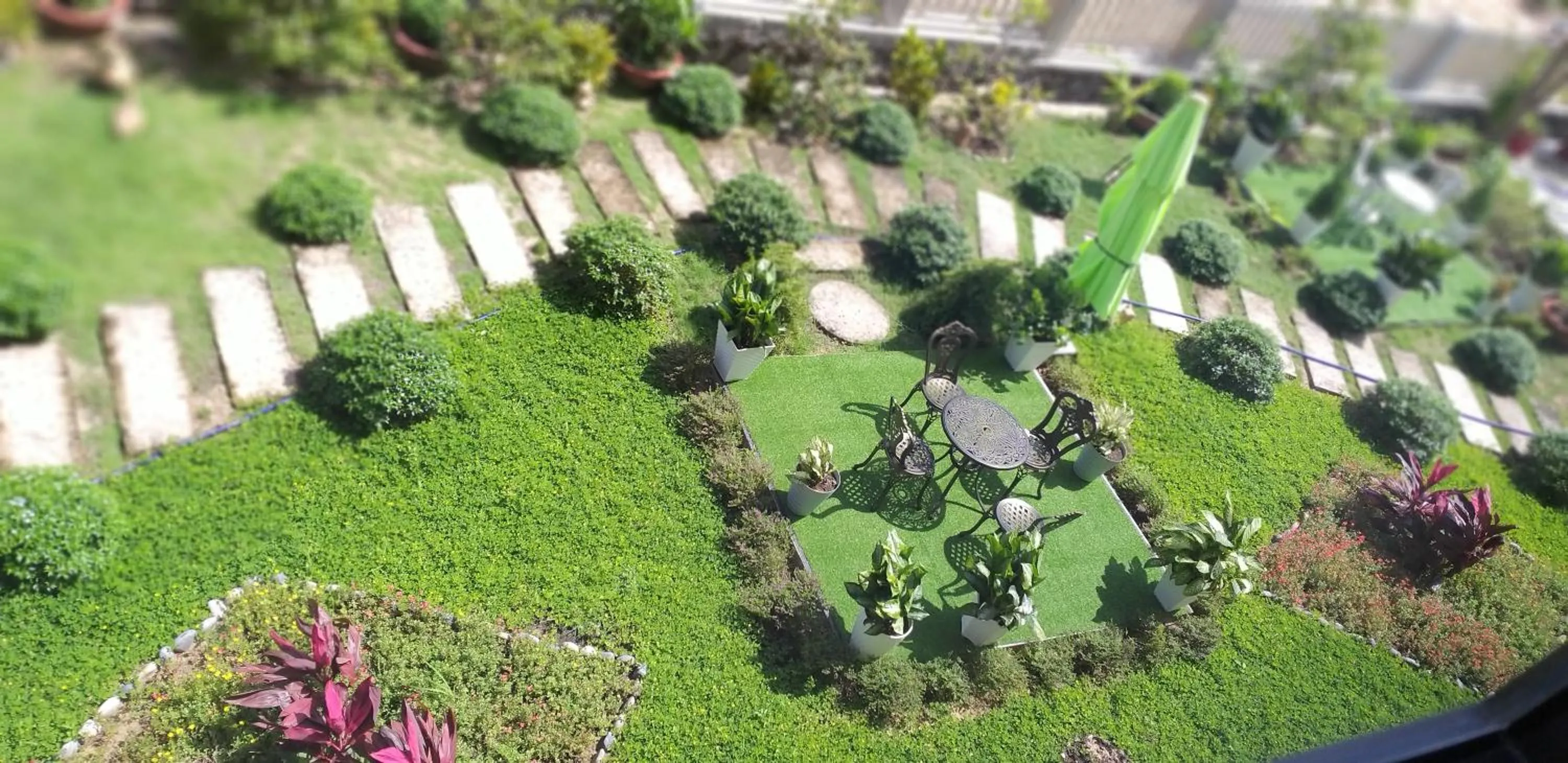 Spring in Garden House Côn Đảo