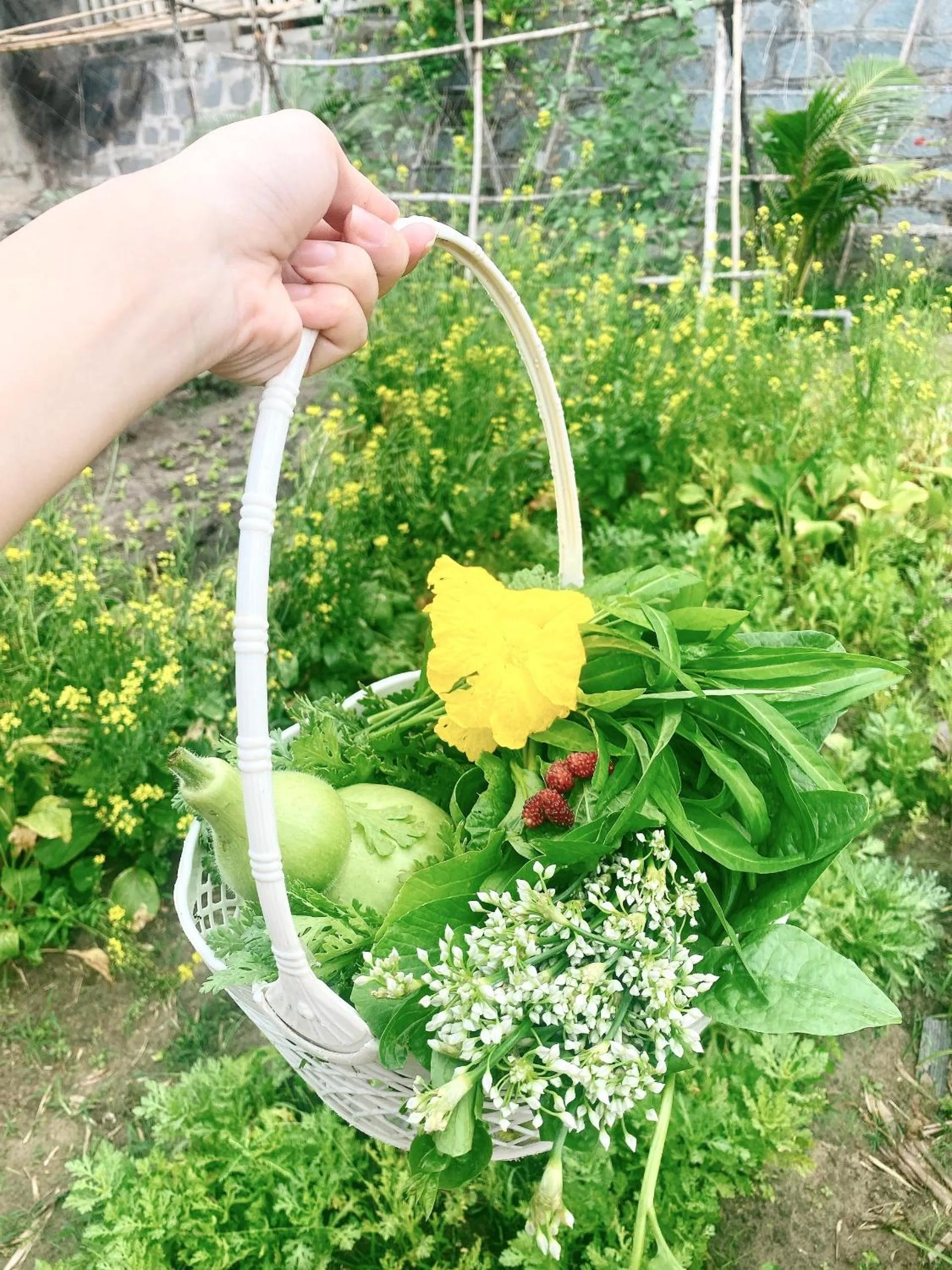 Garden House Côn Đảo