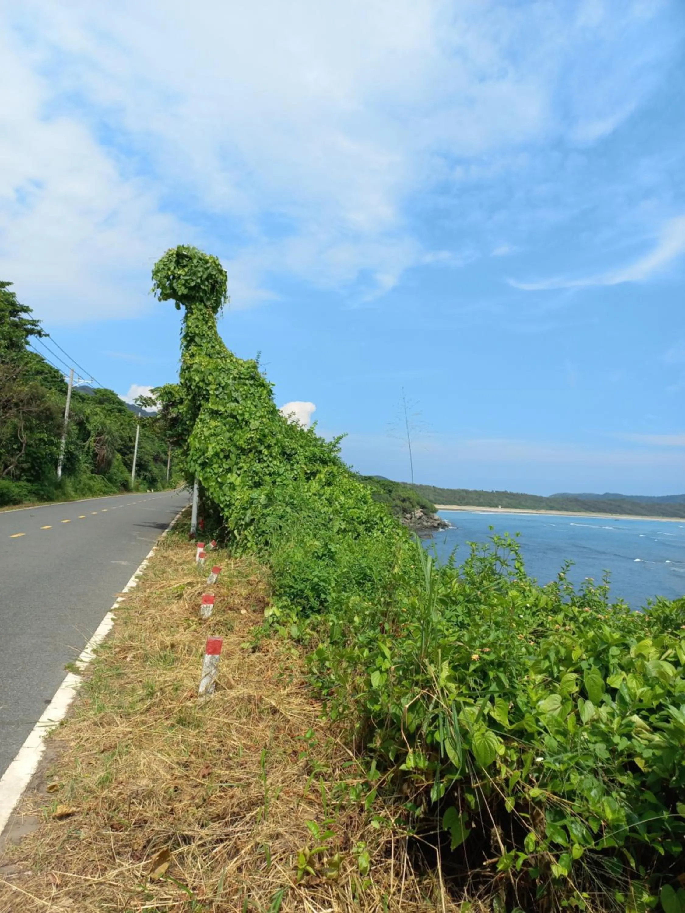 Natural landscape in Garden House Côn Đảo