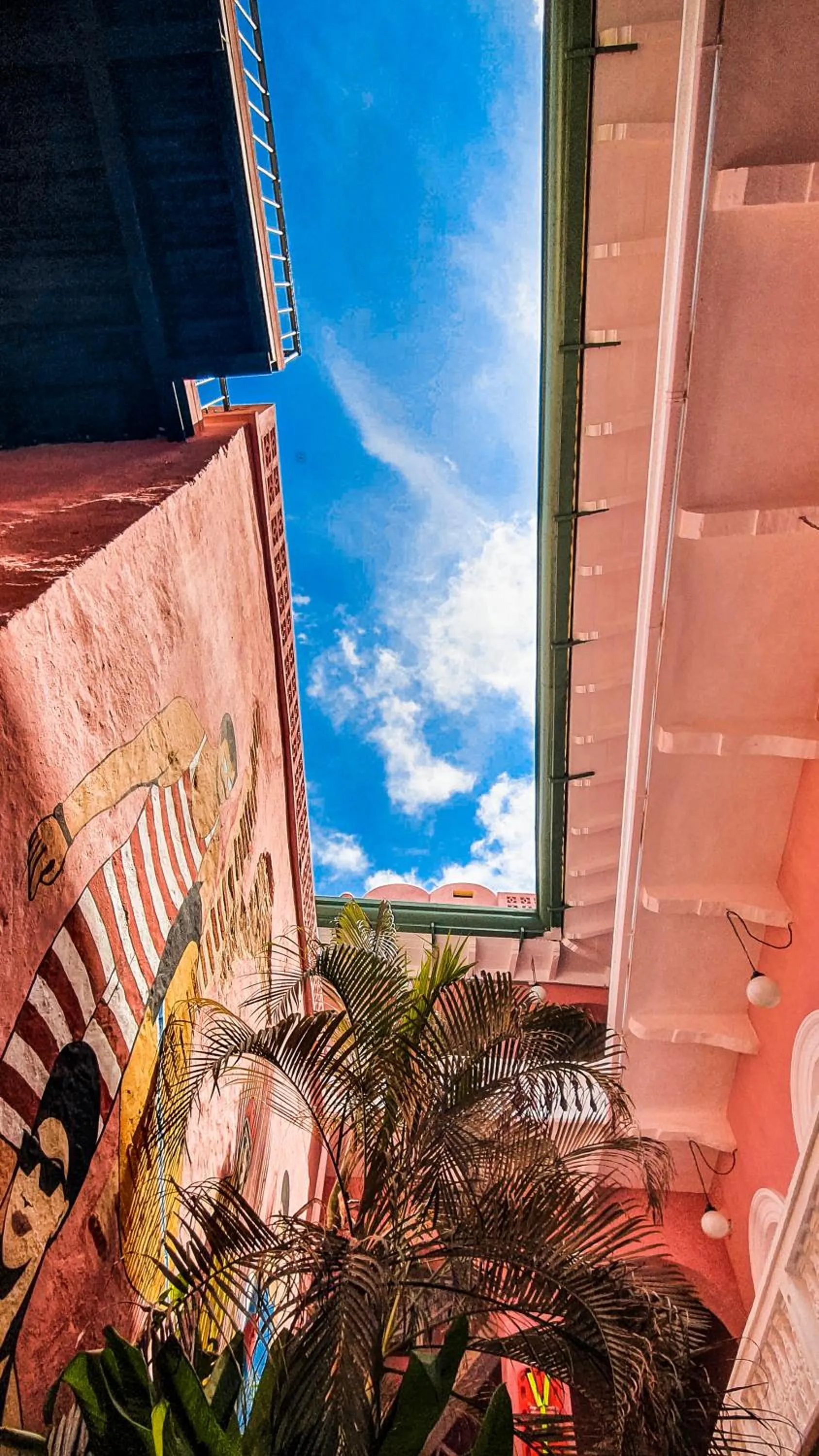 Garden in CASA MOVIDA HOSTEL
