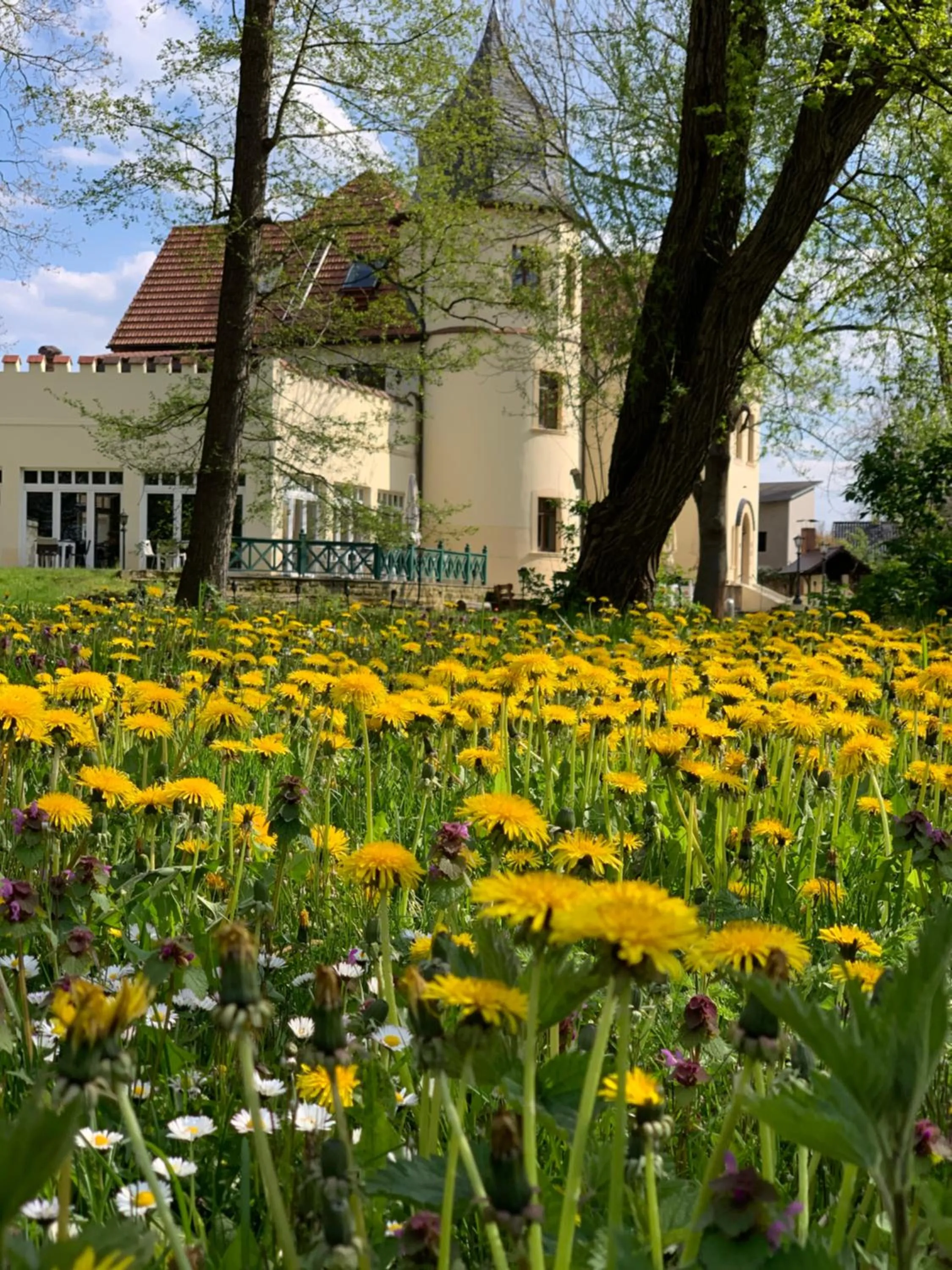 Property building in Parkschlößchen Hotel