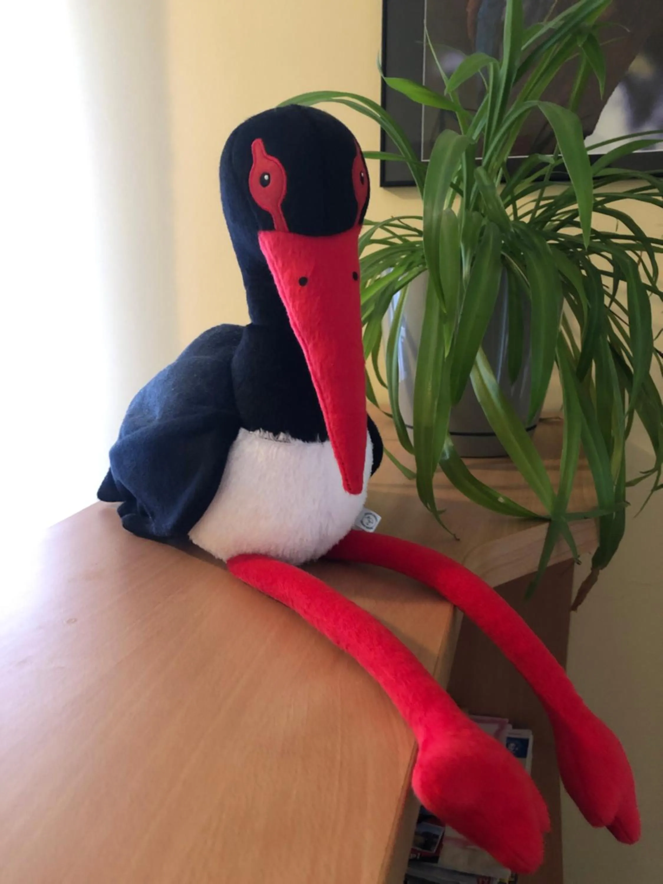 Property building in Leśny Dwór