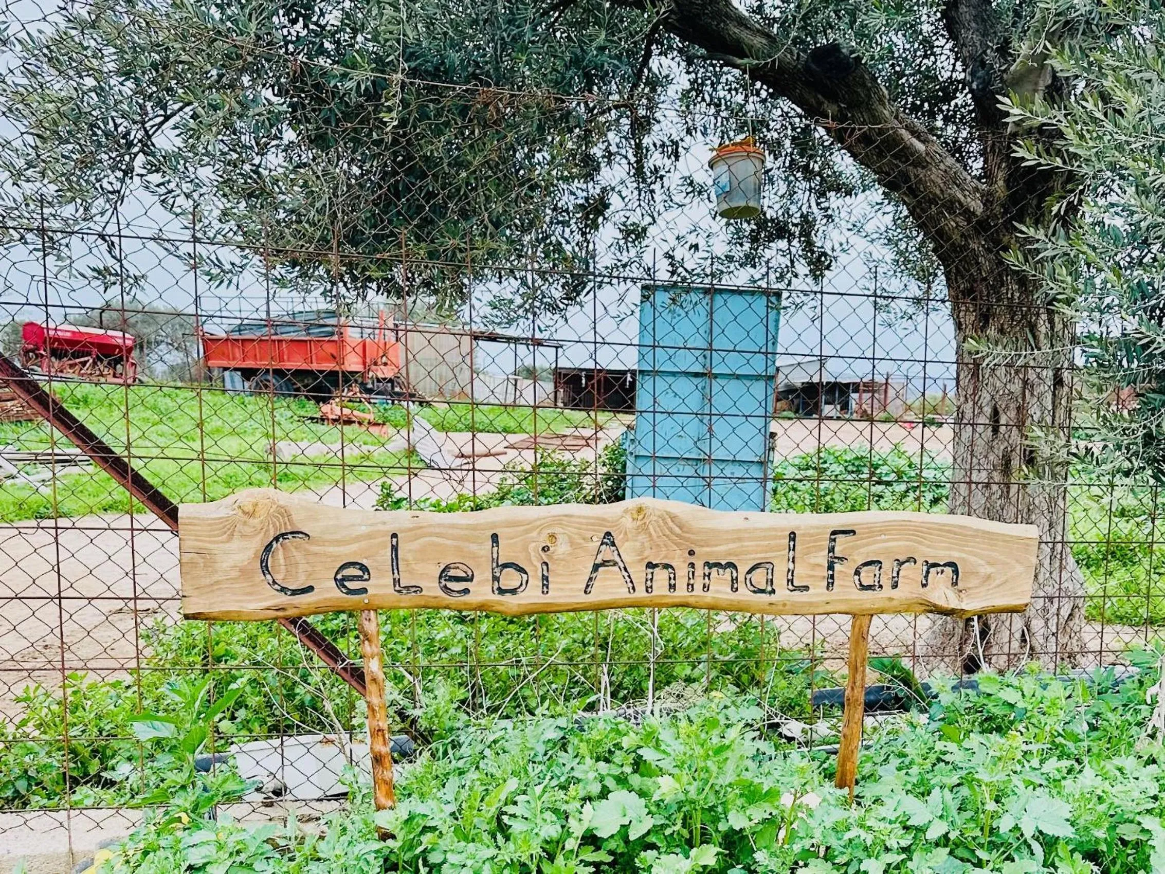 Garden in Celebi Garden Hotel - Cittaslow Retreat