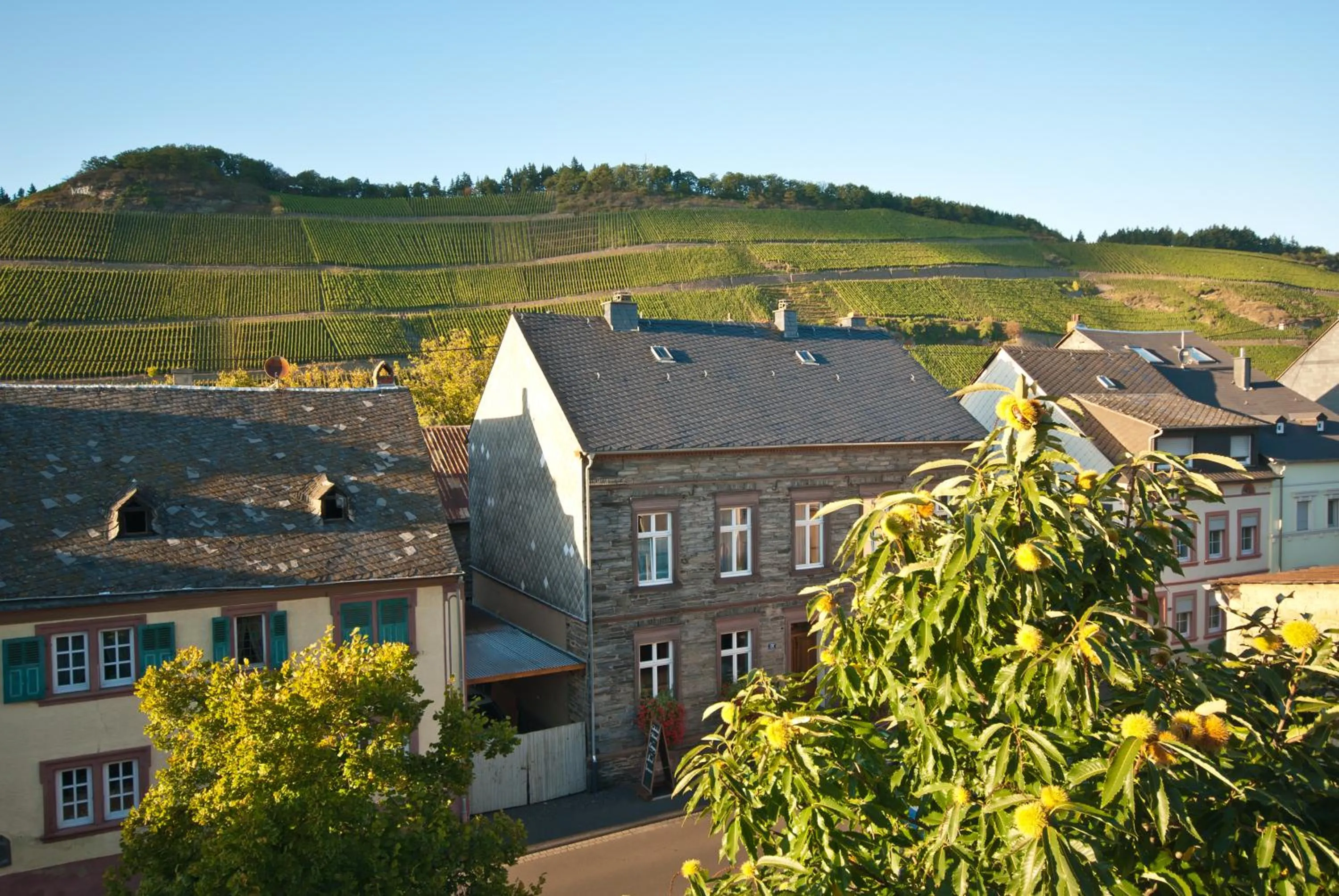 Neighbourhood in Ferienresidenz Brauneberger Hof an der Mosel nahe Bernkastel-Kues