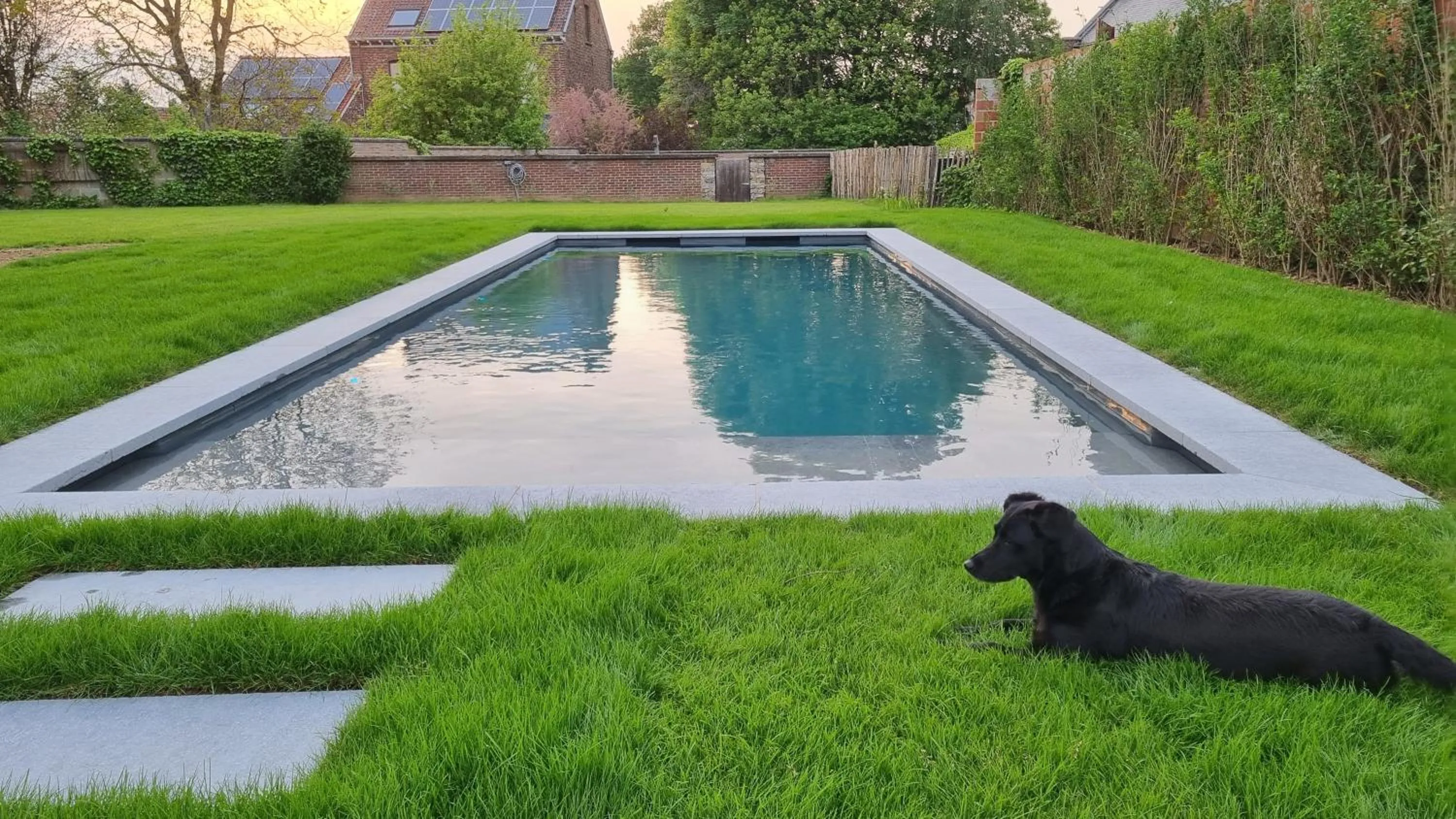 Swimming pool in B&B Haspenhoeve