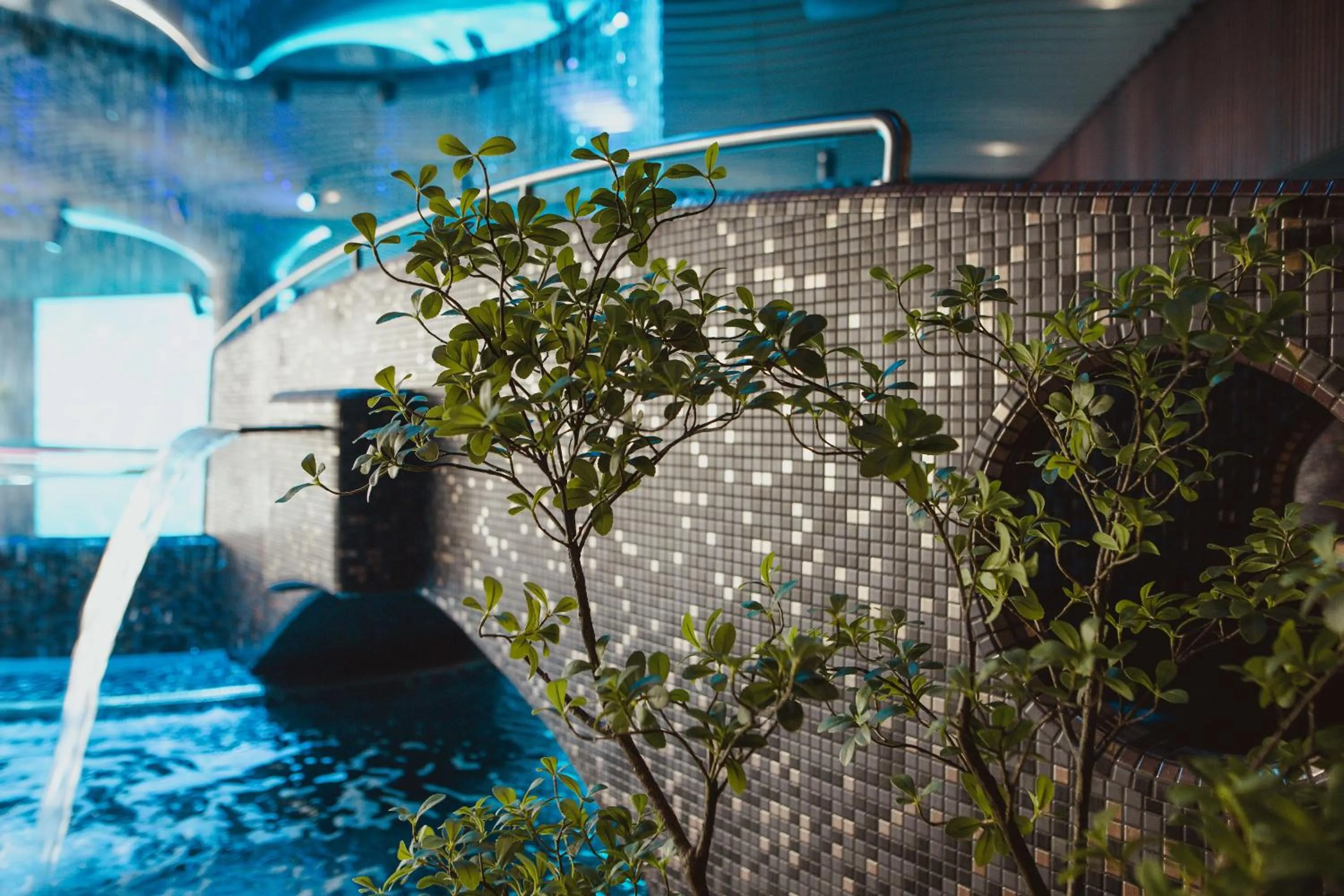 Garden in Gradiali Wellness and SPA