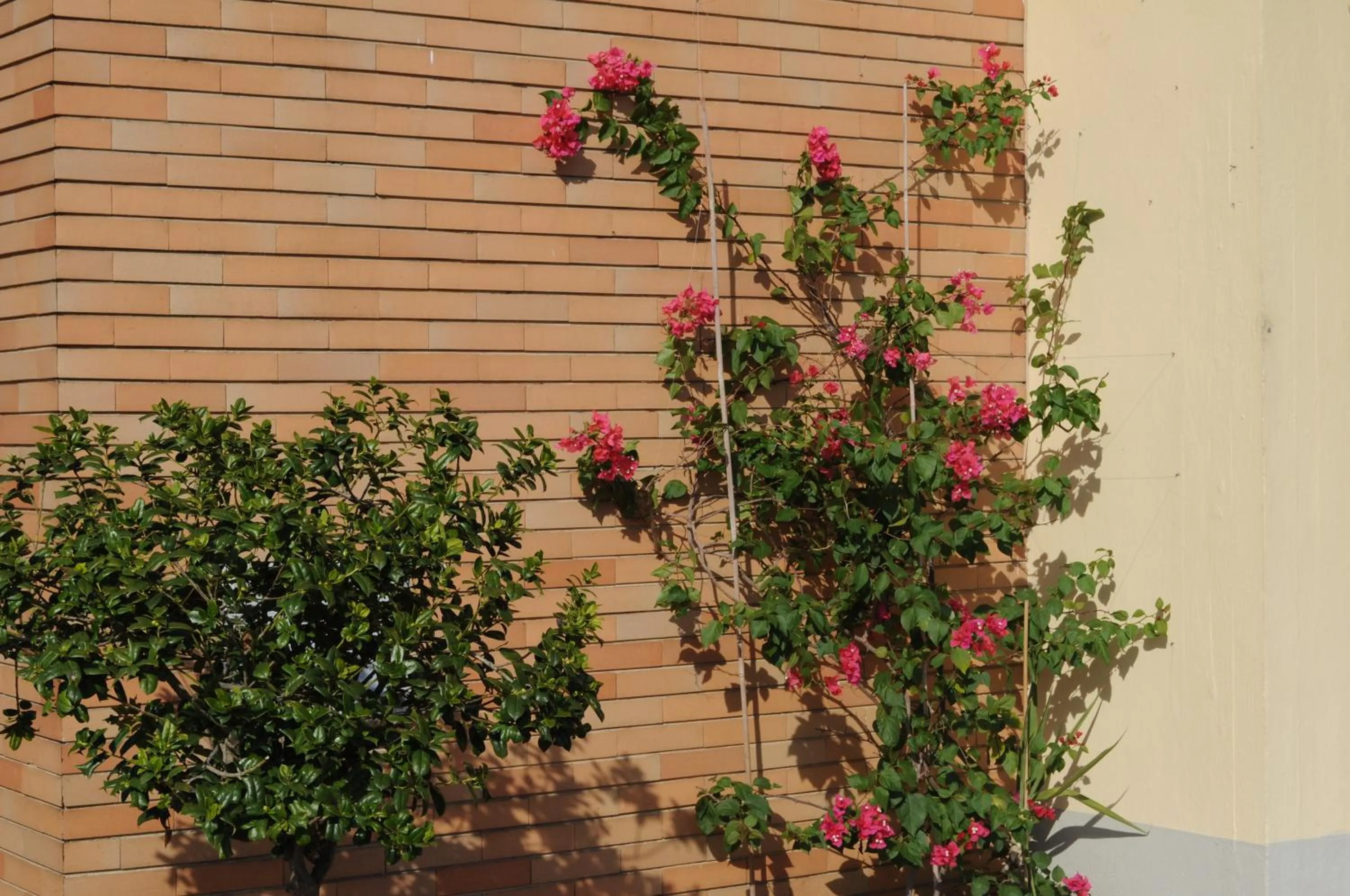 Other in Marinetta Bed & Breakfast