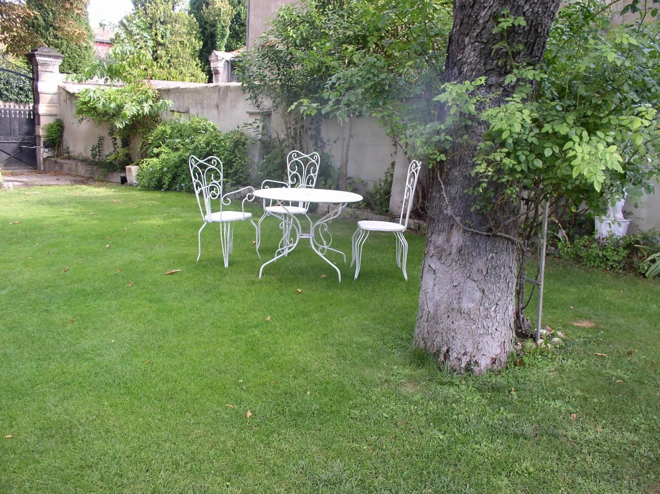 Garden in La Maison de Sophie