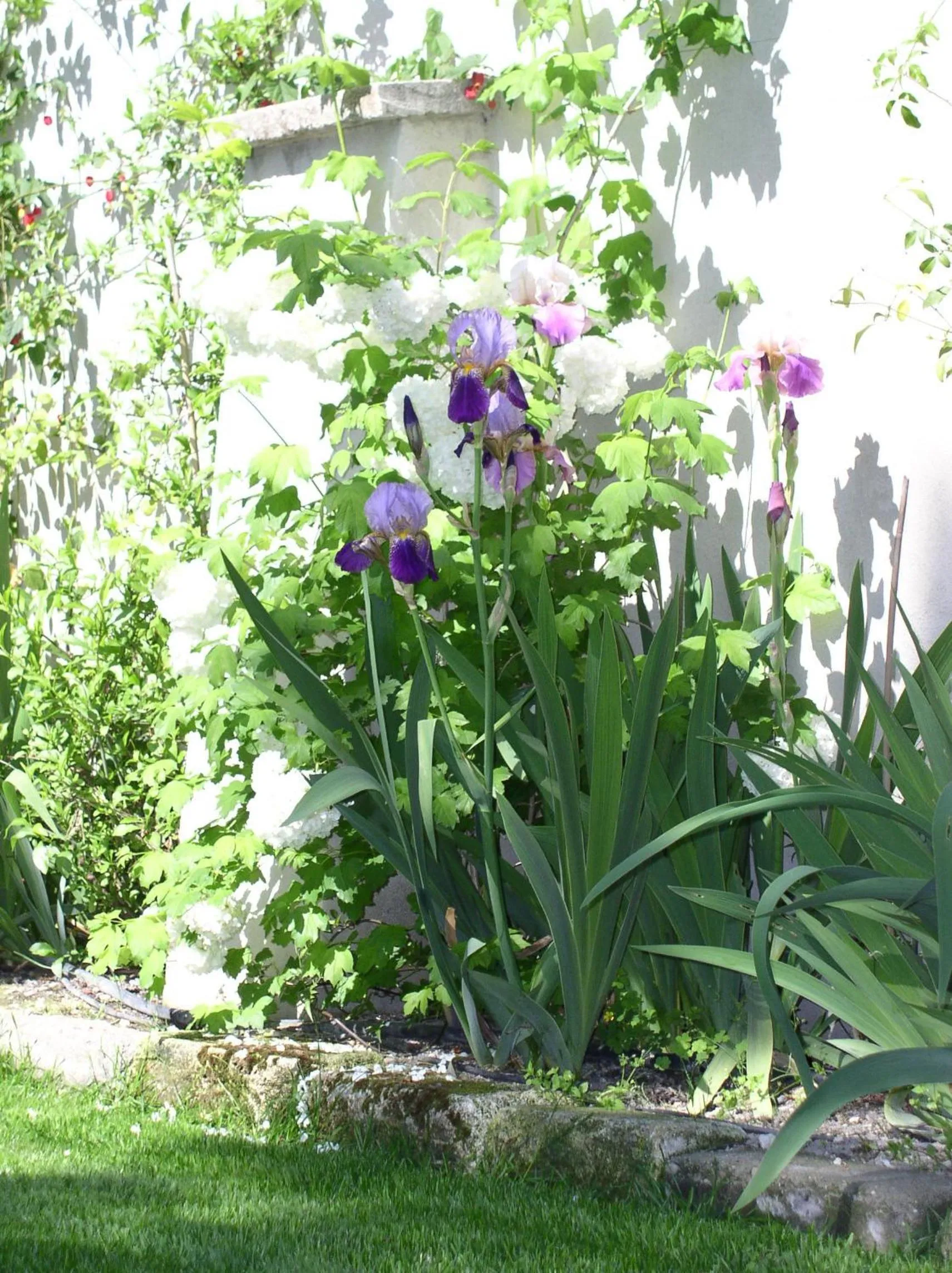 Garden in La Maison de Sophie