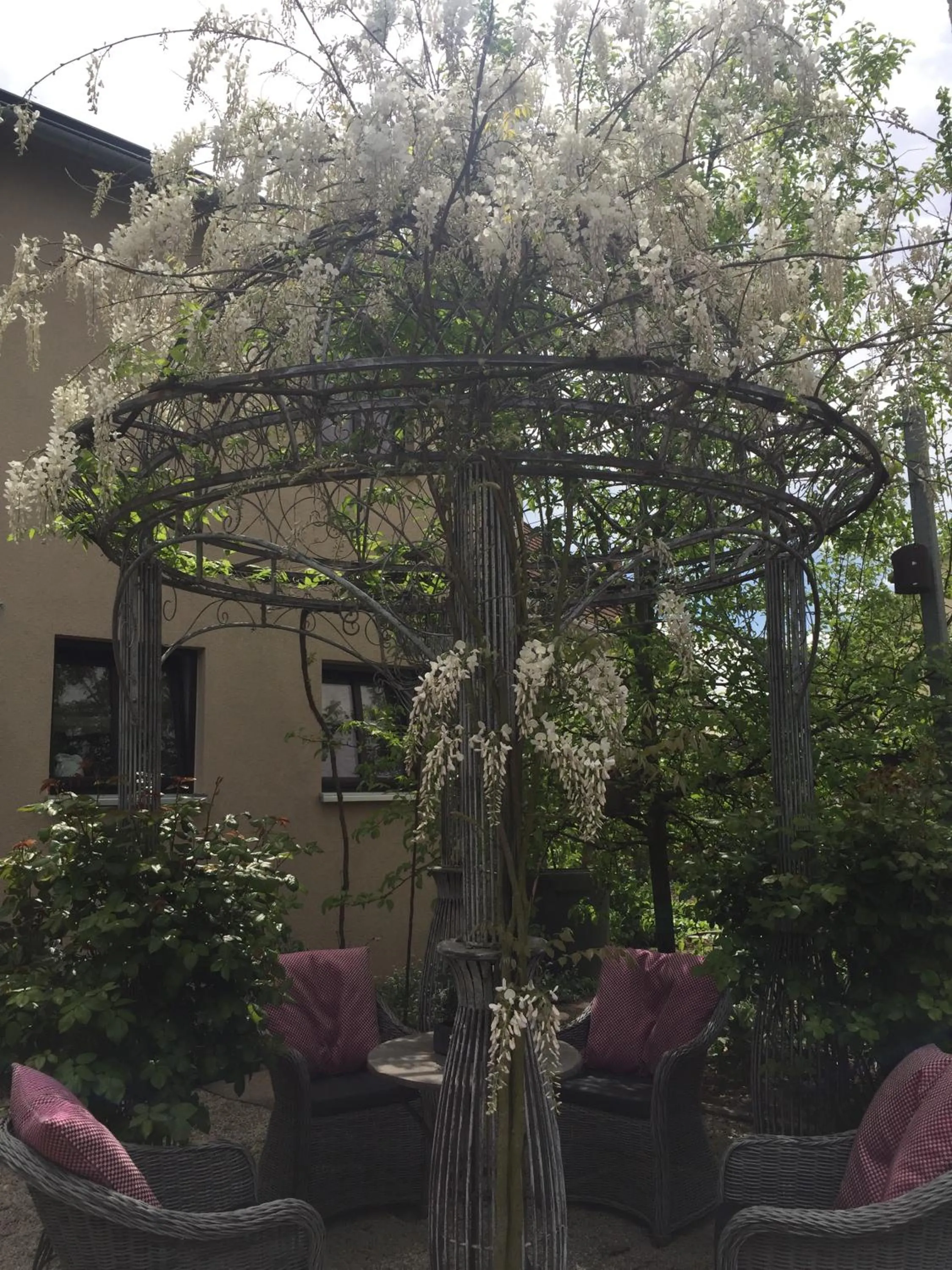 Garden in Jugendstil-Hof