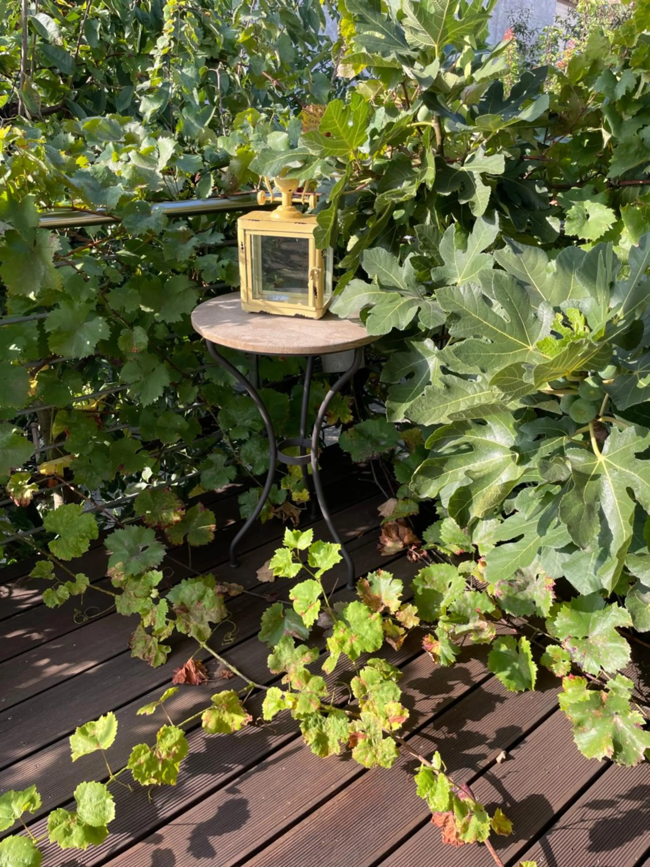 Garden in Jugendstil-Hof