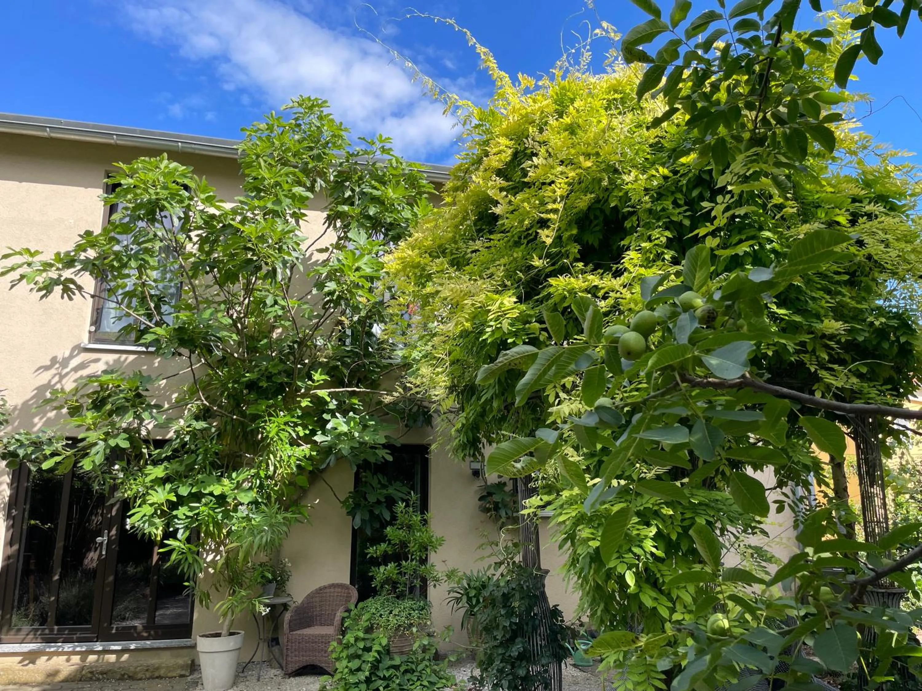 Patio in Jugendstil-Hof