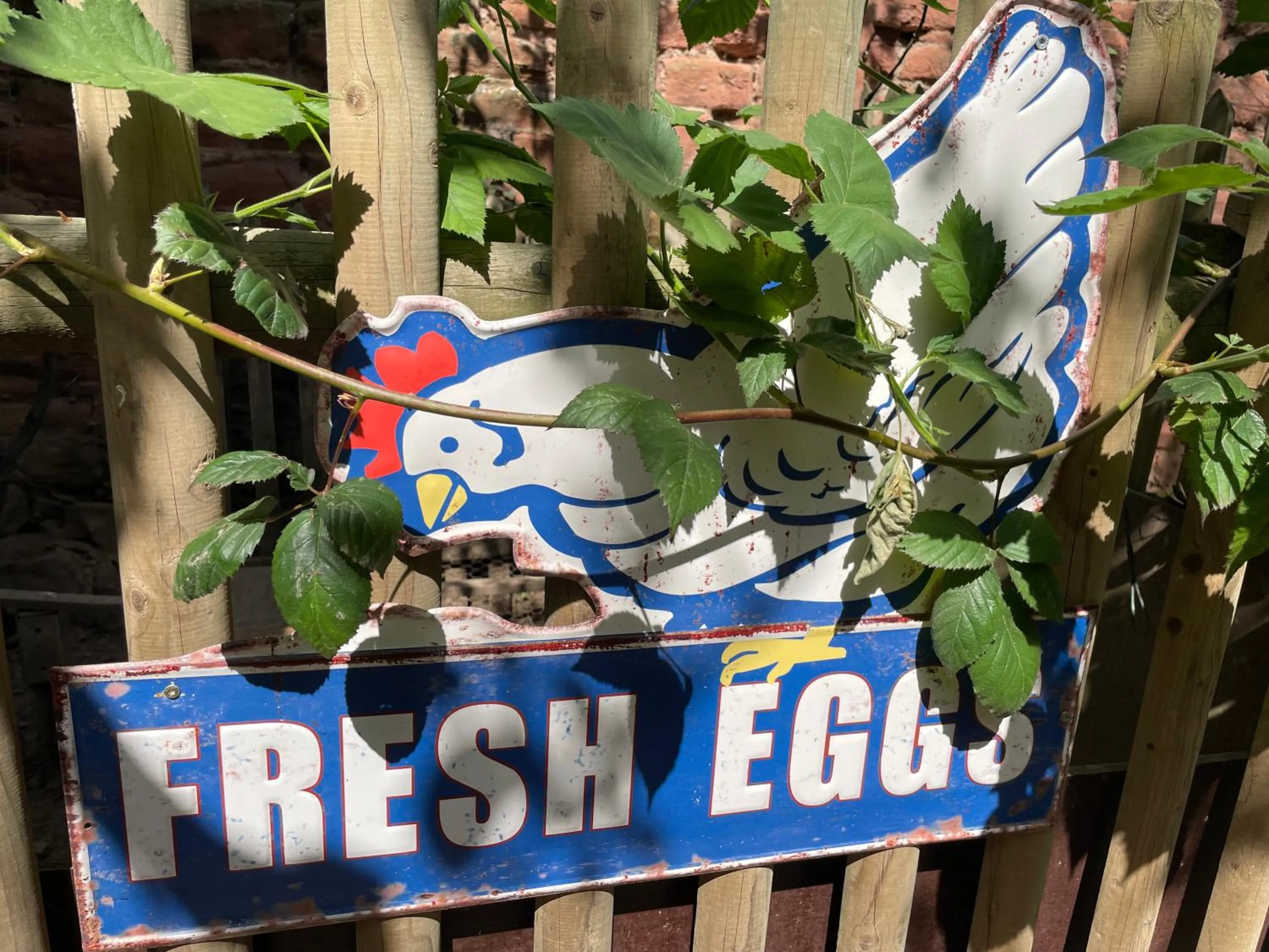 Breakfast in Jugendstil-Hof