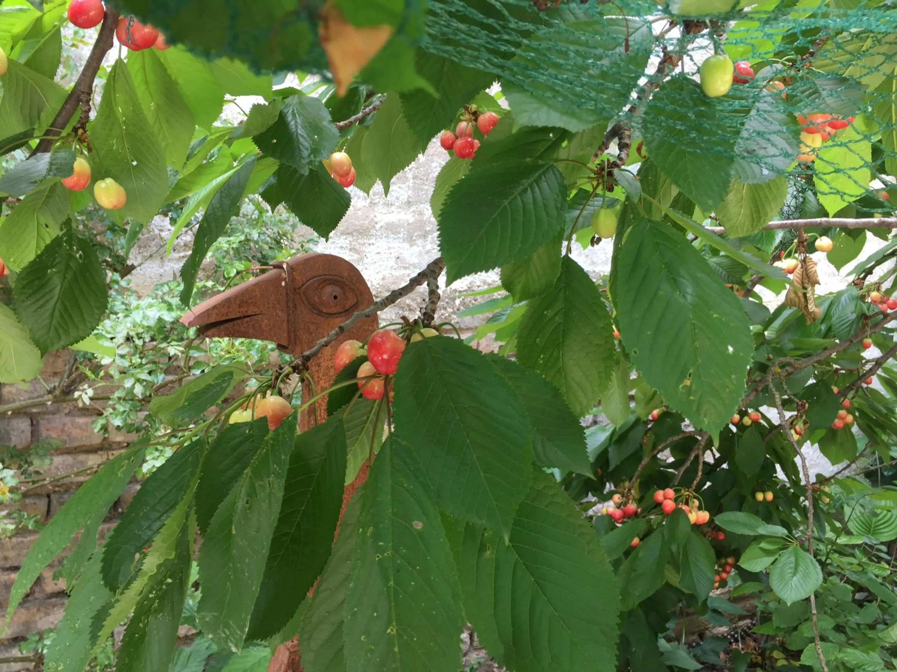 Garden in Jugendstil-Hof