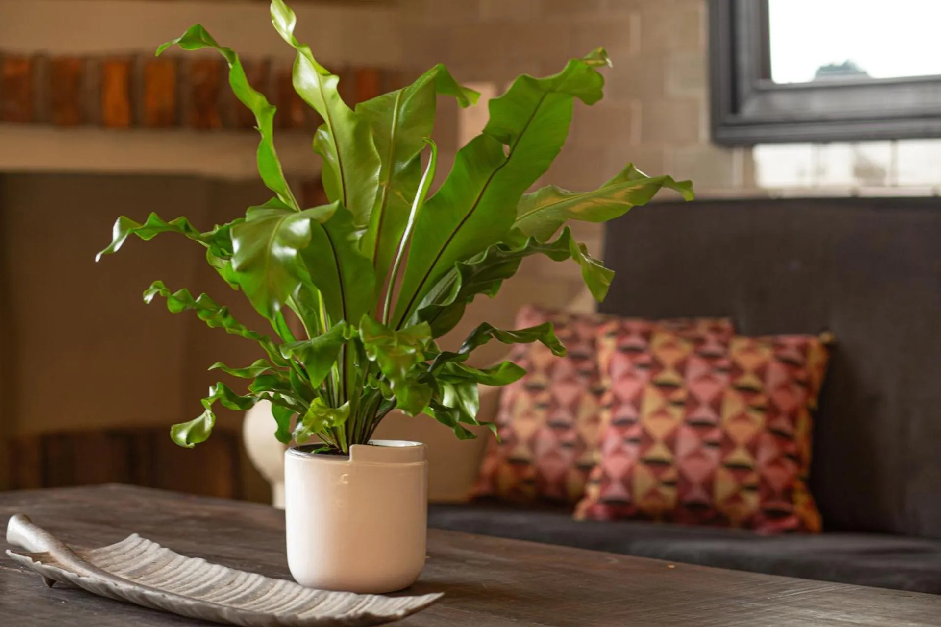 Quinta Maria Cortez Beach Hotel