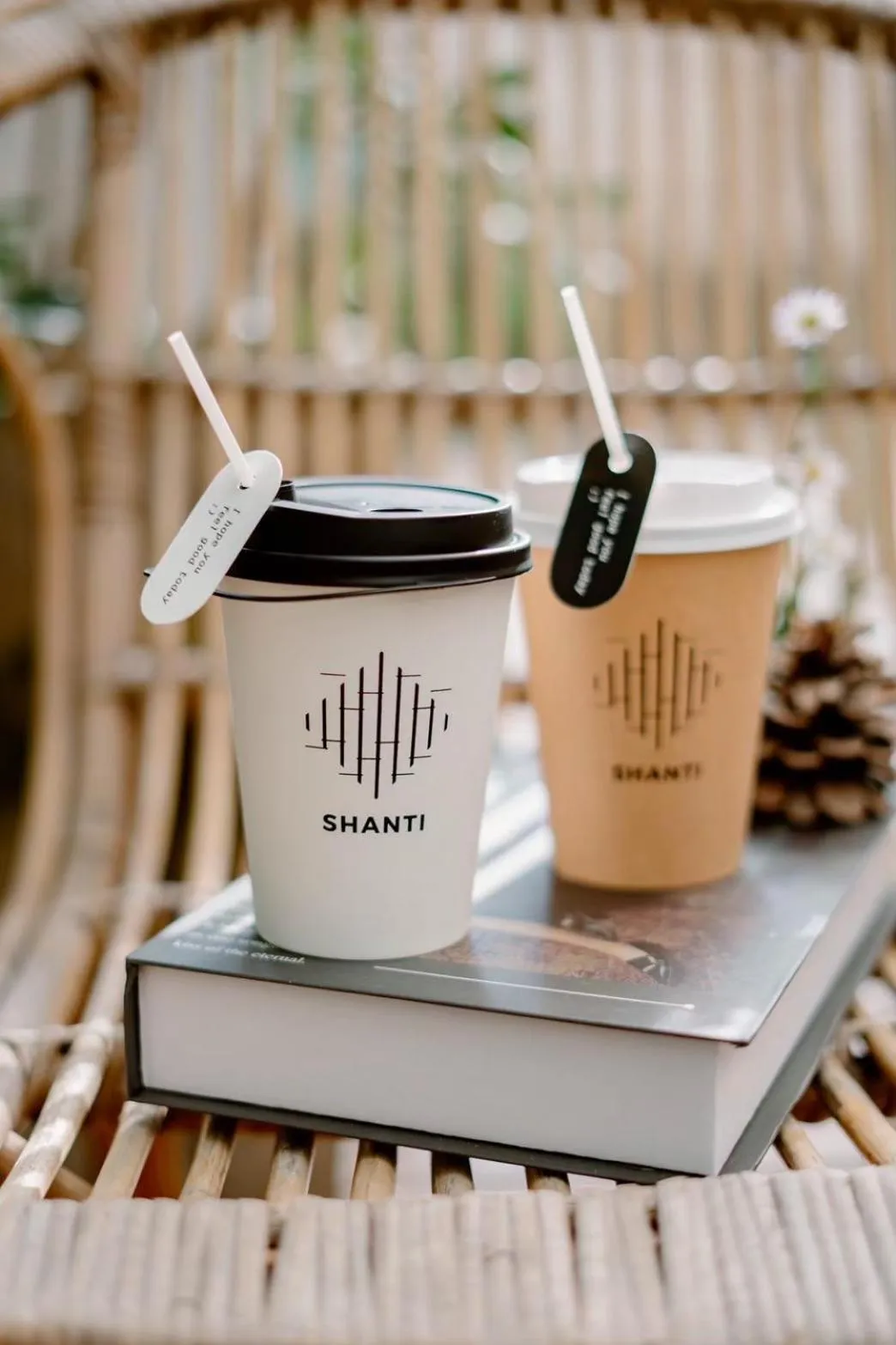 Food and drinks in Shanti-Retreat Hotel