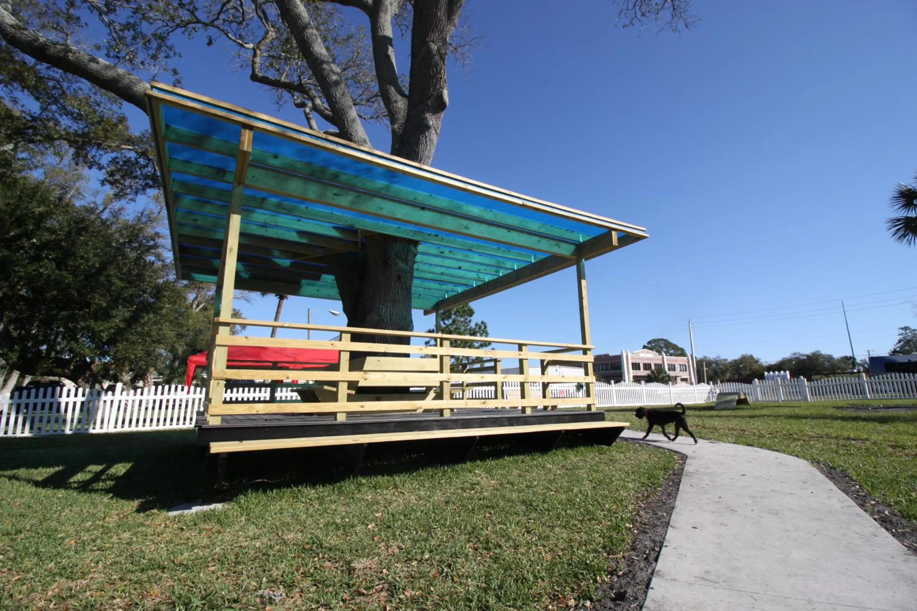 Animals in Southern Oaks Inn - Saint Augustine