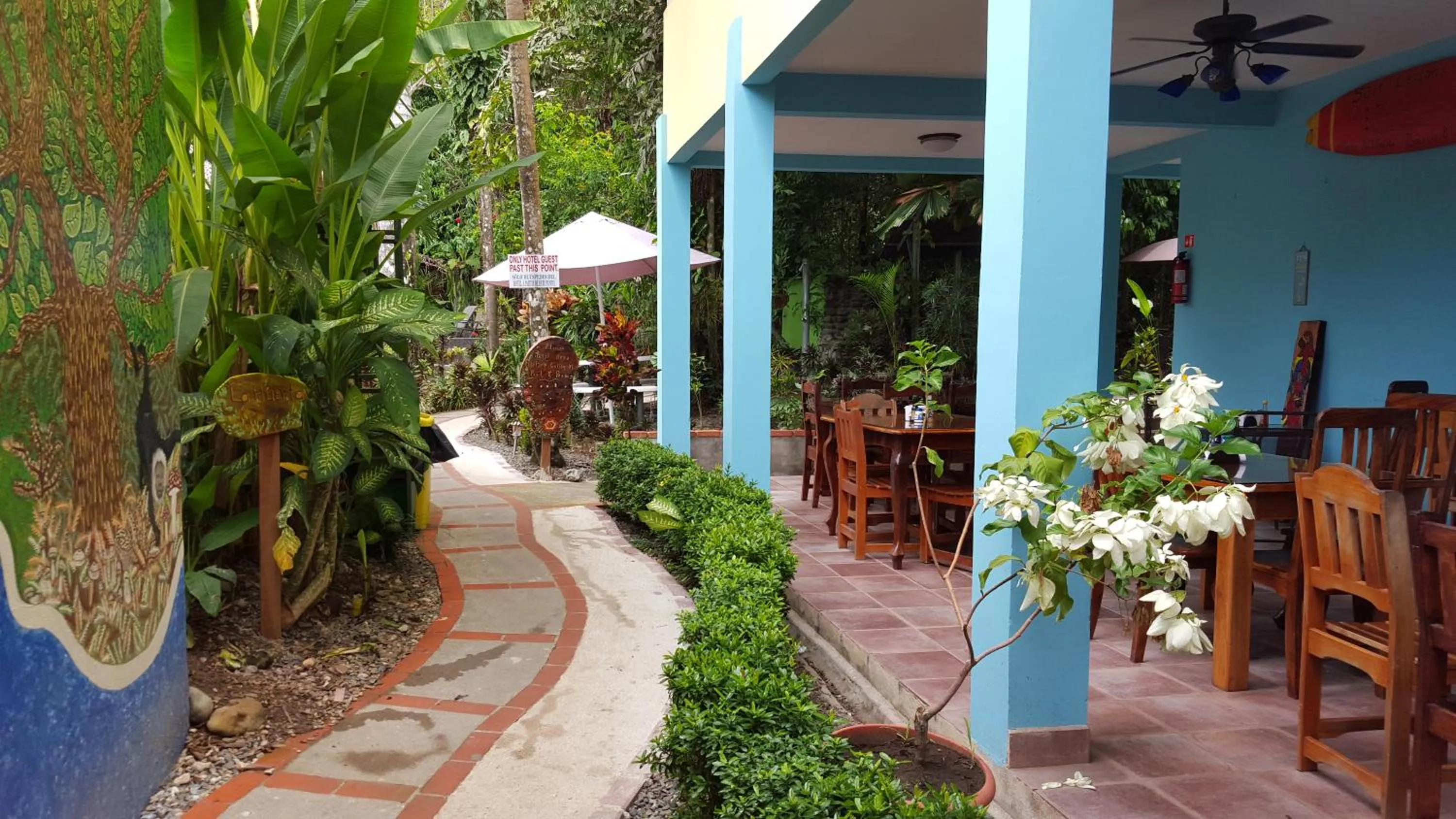 Restaurant/places to eat in La Posada Jungle Hotel