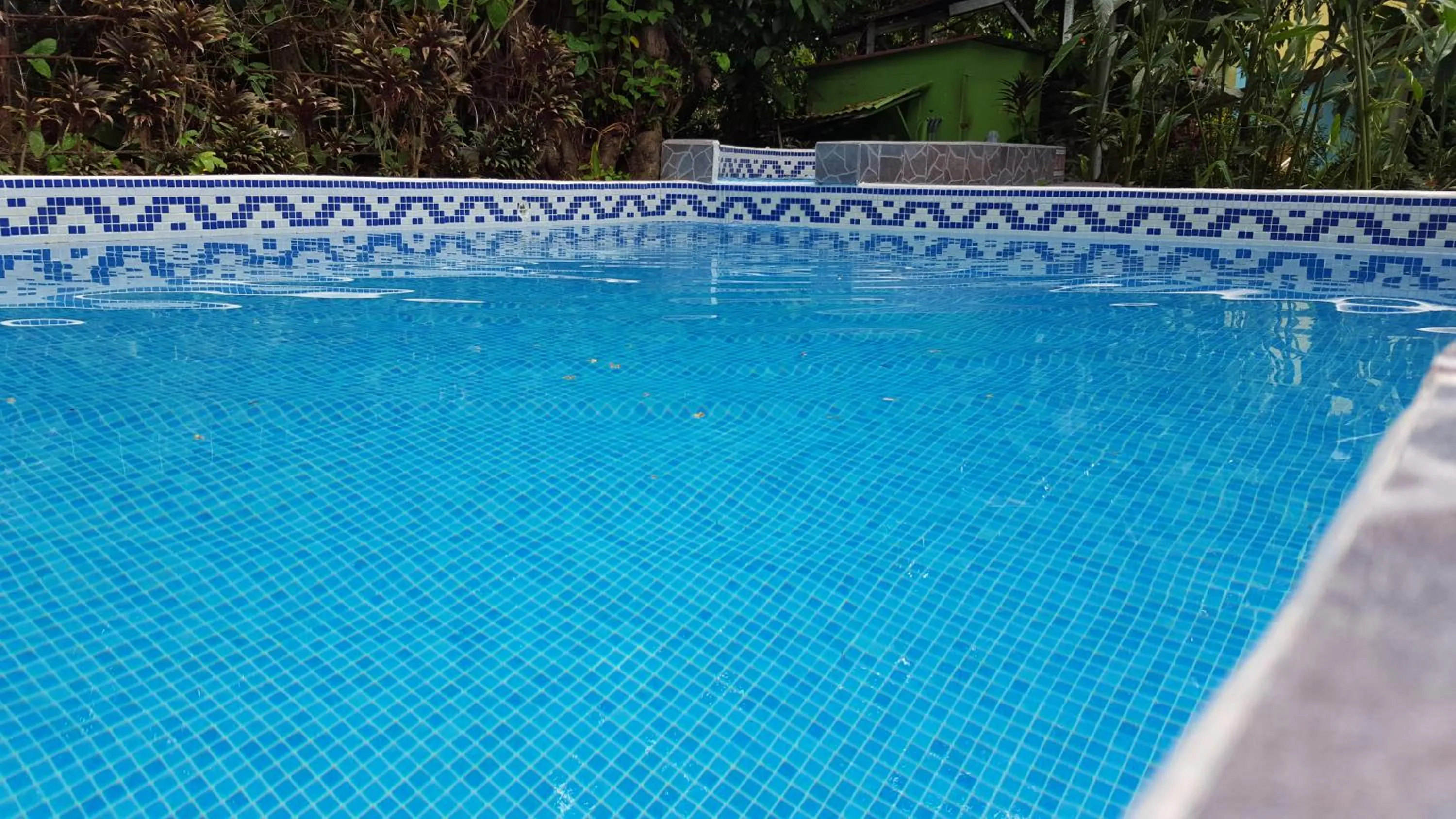 Swimming pool in La Posada Jungle Hotel