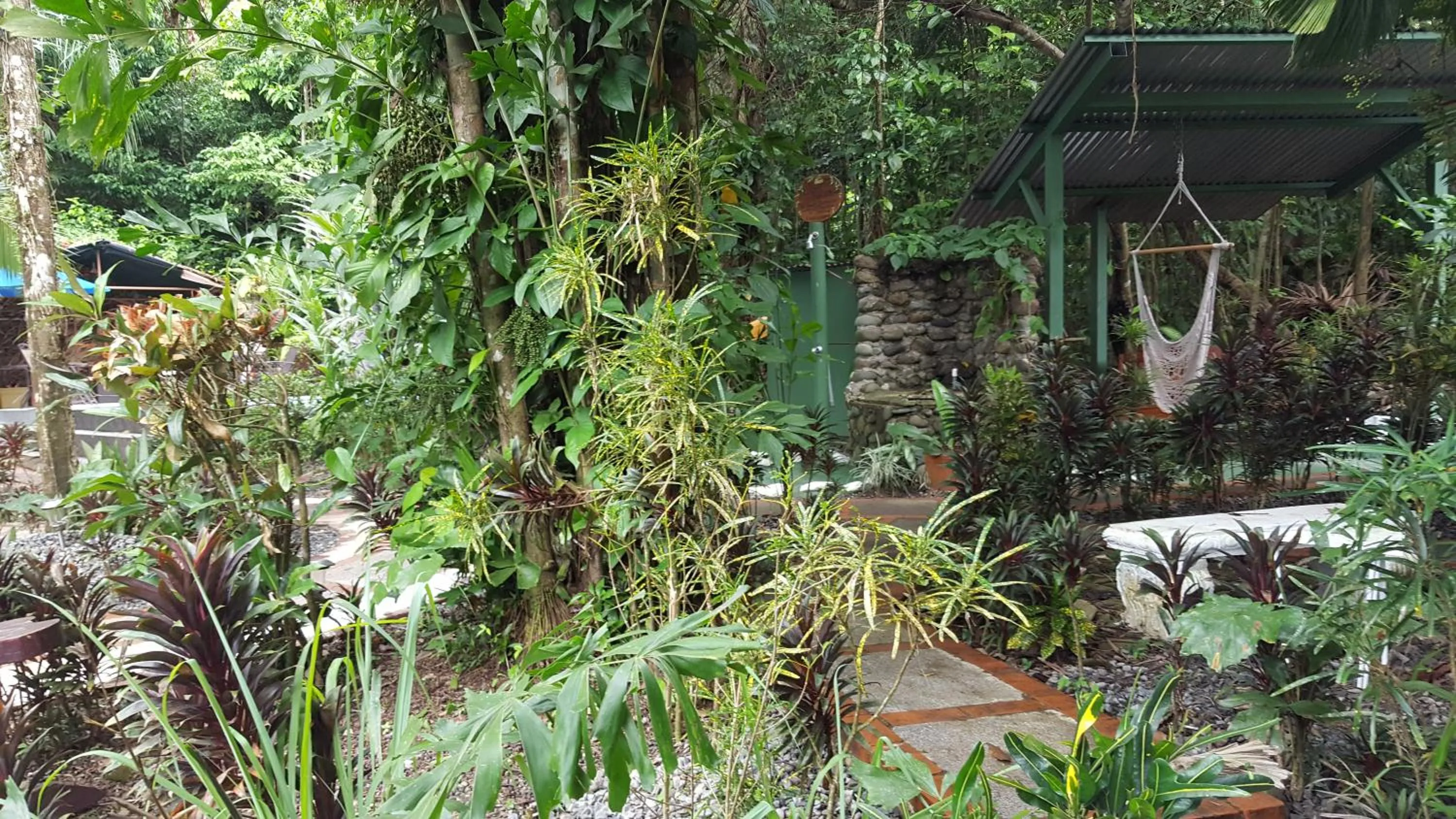 Balcony/Terrace in La Posada Jungle Hotel