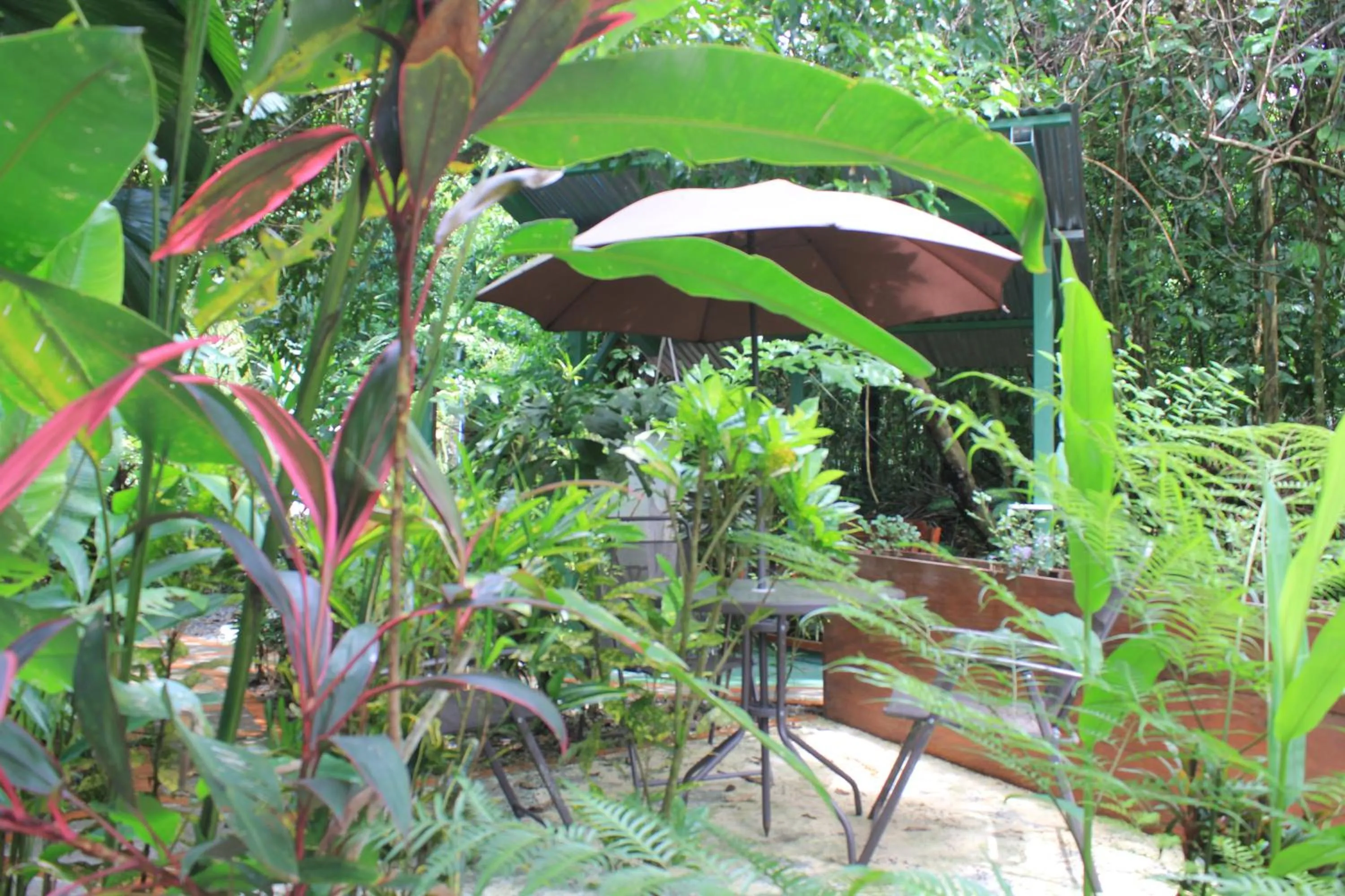 Balcony/Terrace in La Posada Jungle Hotel
