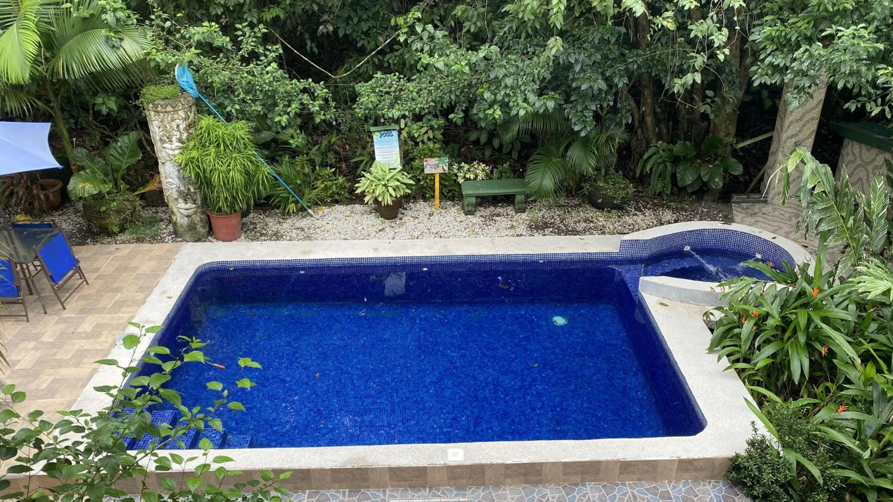 Pool view in La Posada Jungle Hotel