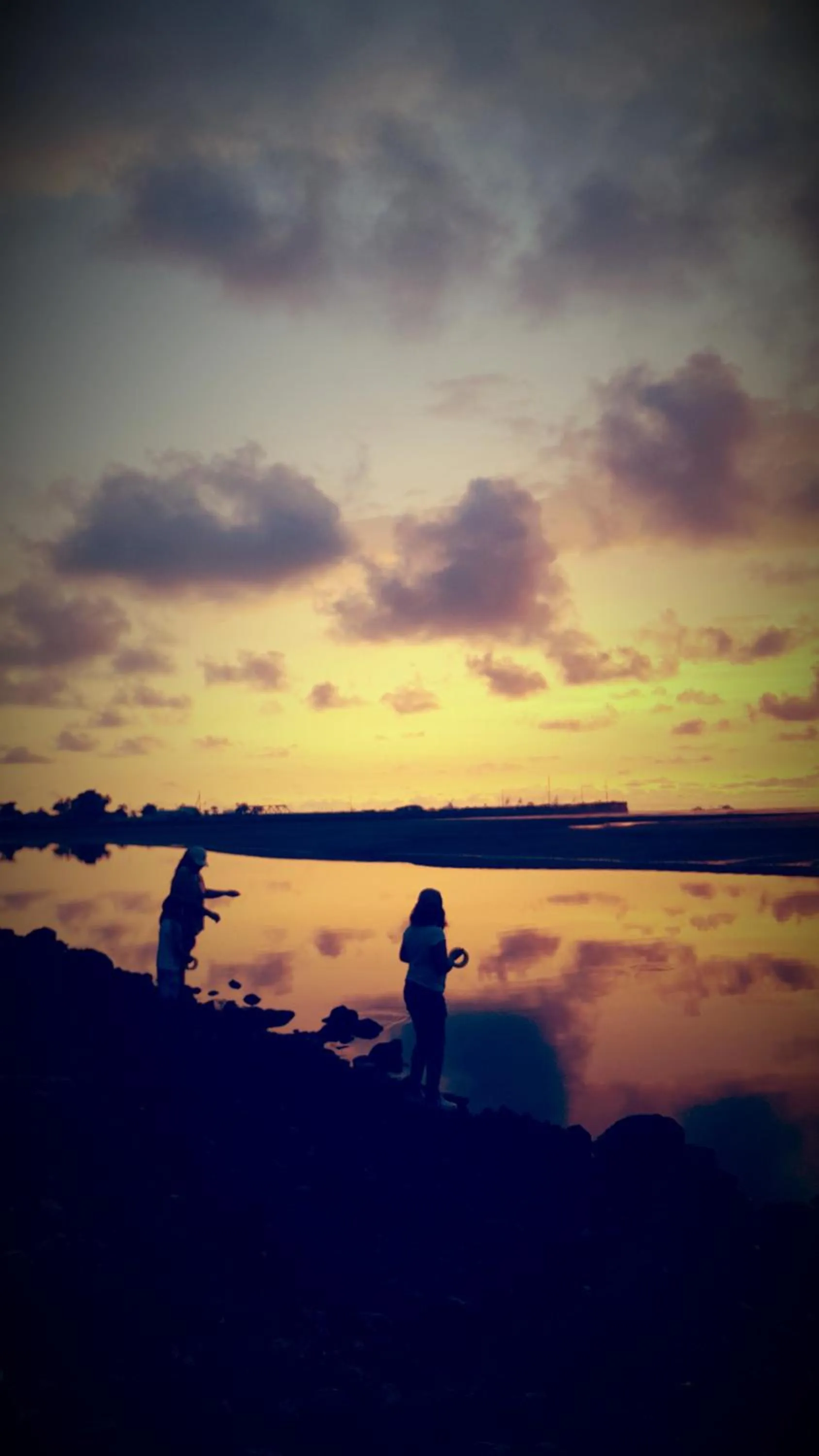 Activities in La Posada Jungle Hotel