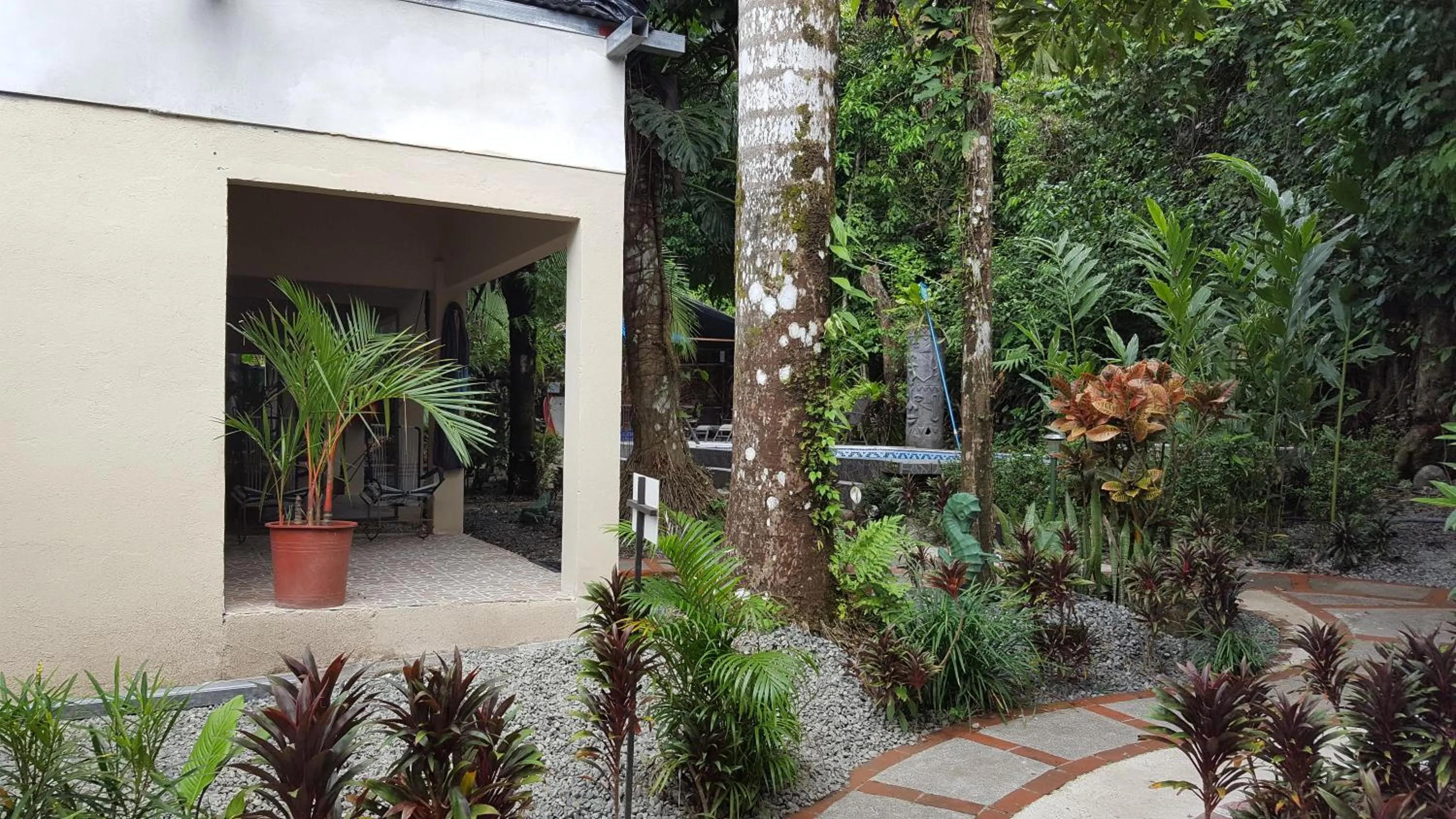 Bird's eye view in La Posada Jungle Hotel