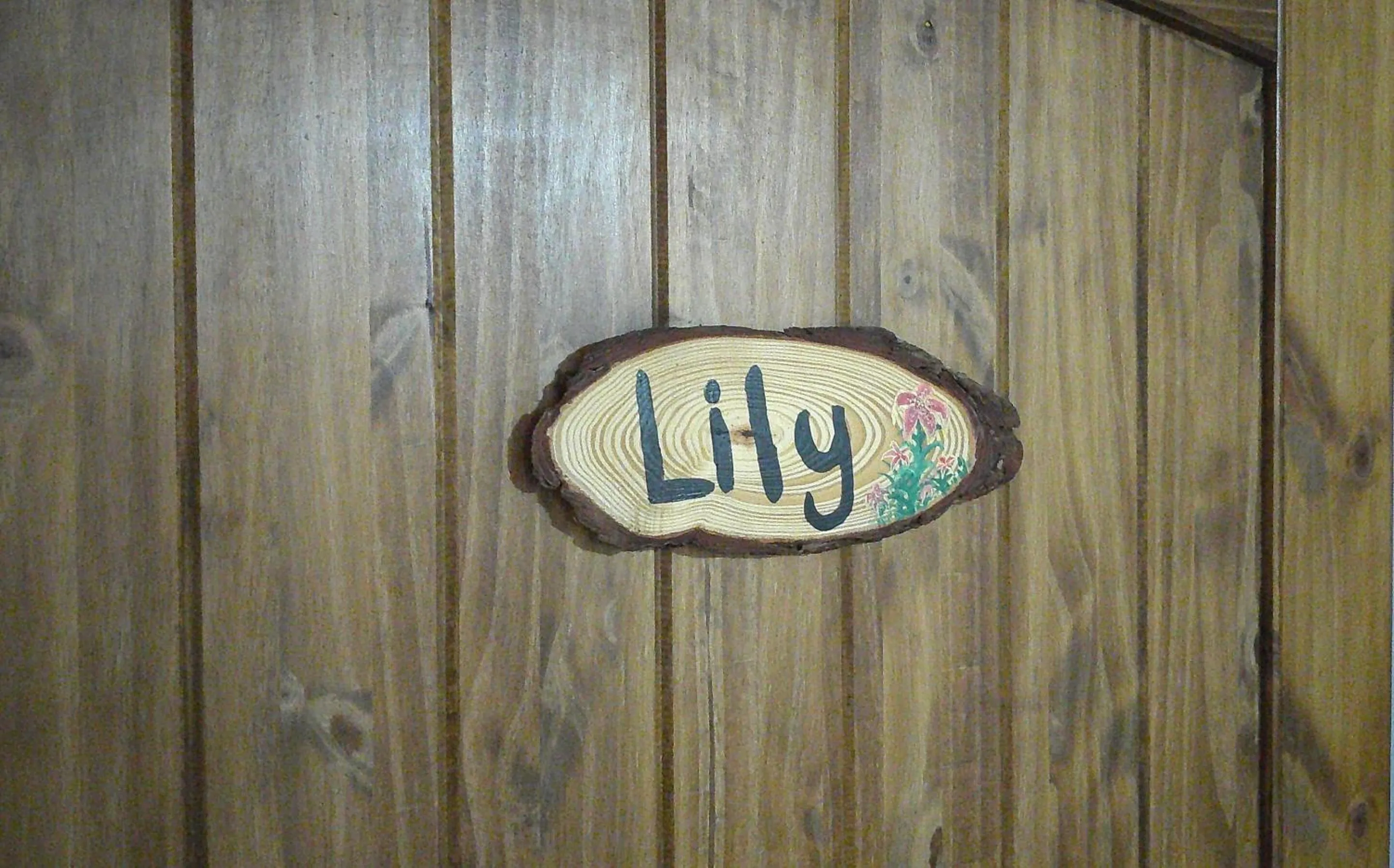 Bathroom in Lil Black Bear Inn