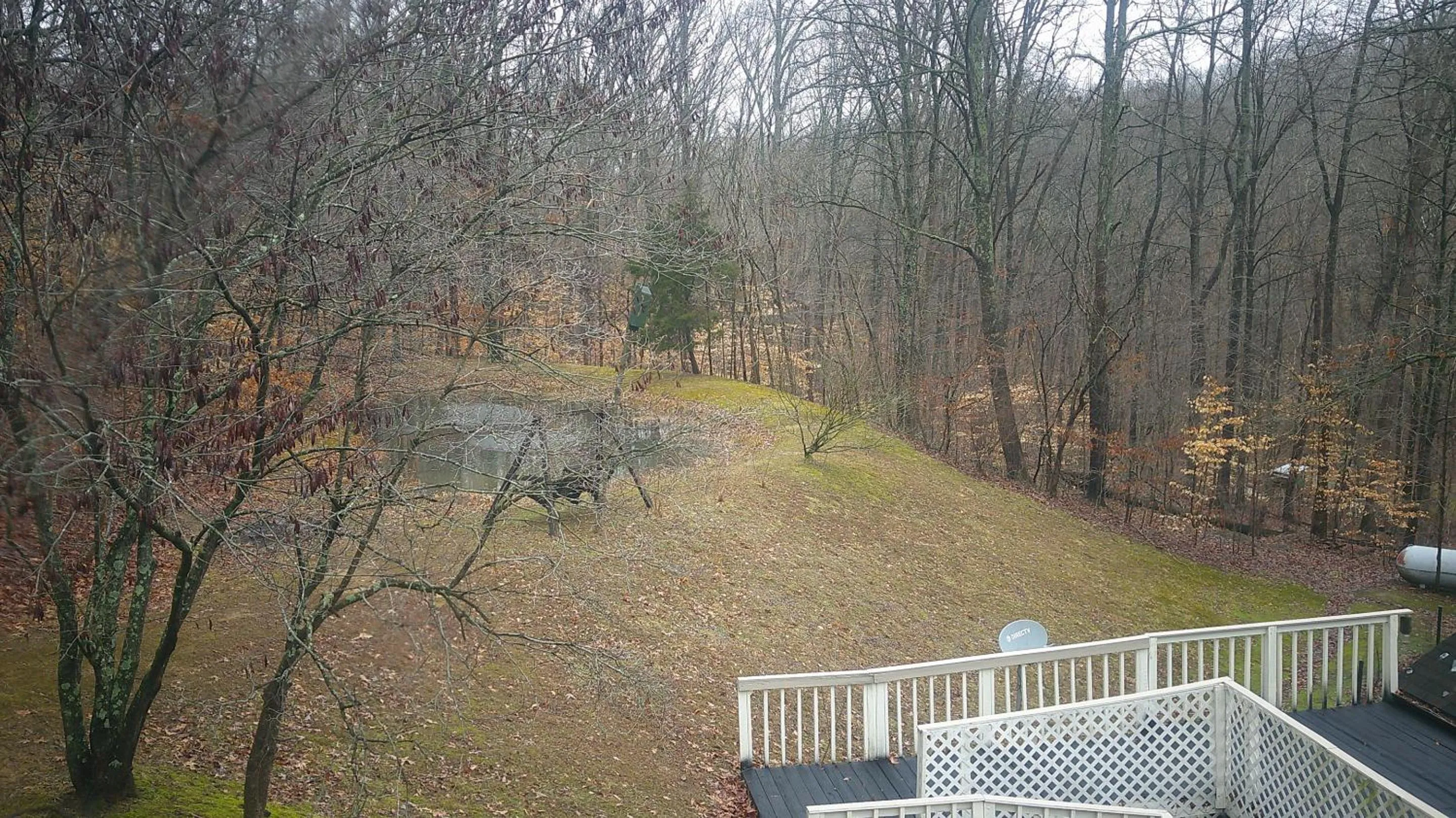 View (from property/room) in Lil Black Bear Inn