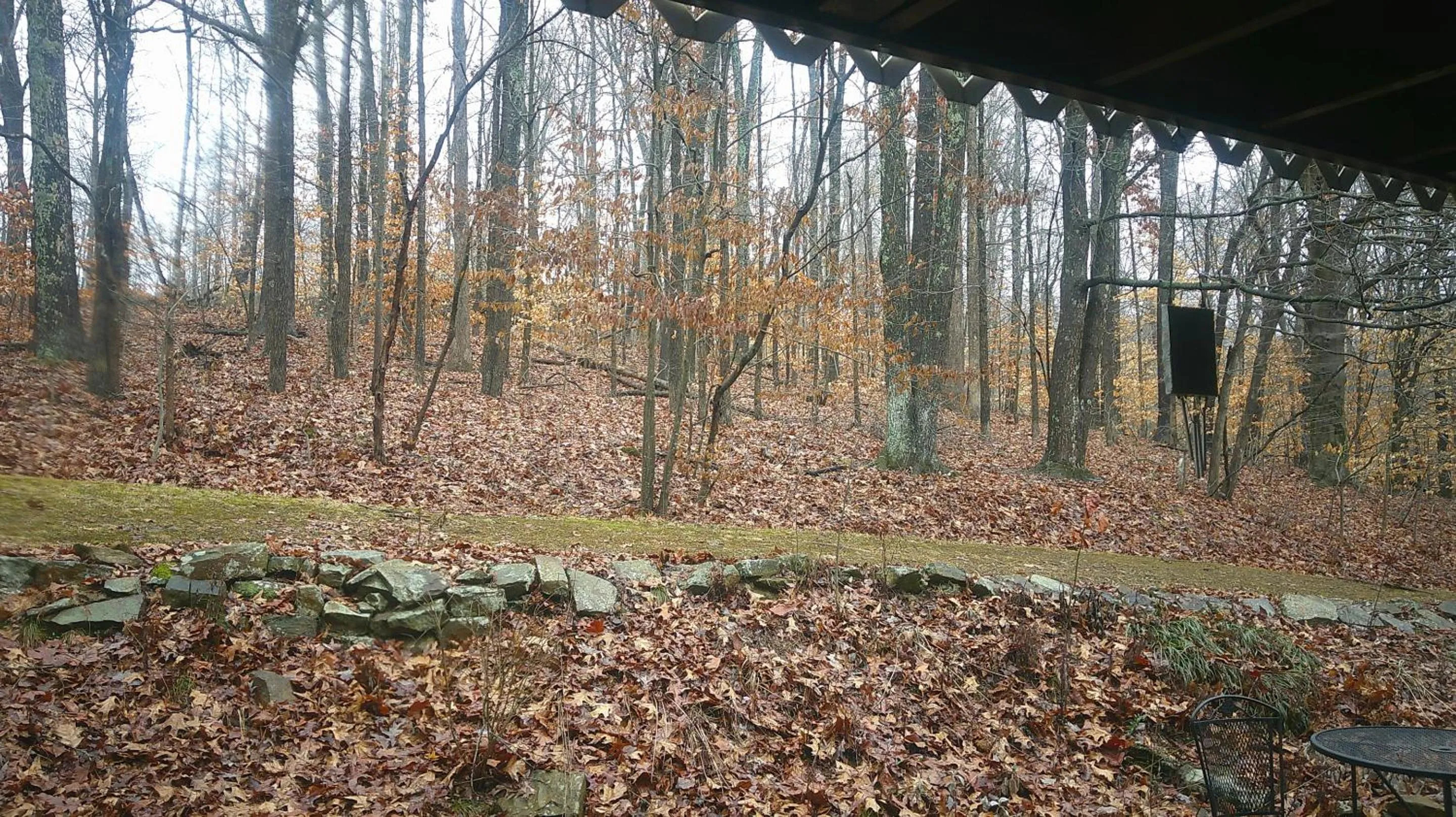 View (from property/room) in Lil Black Bear Inn