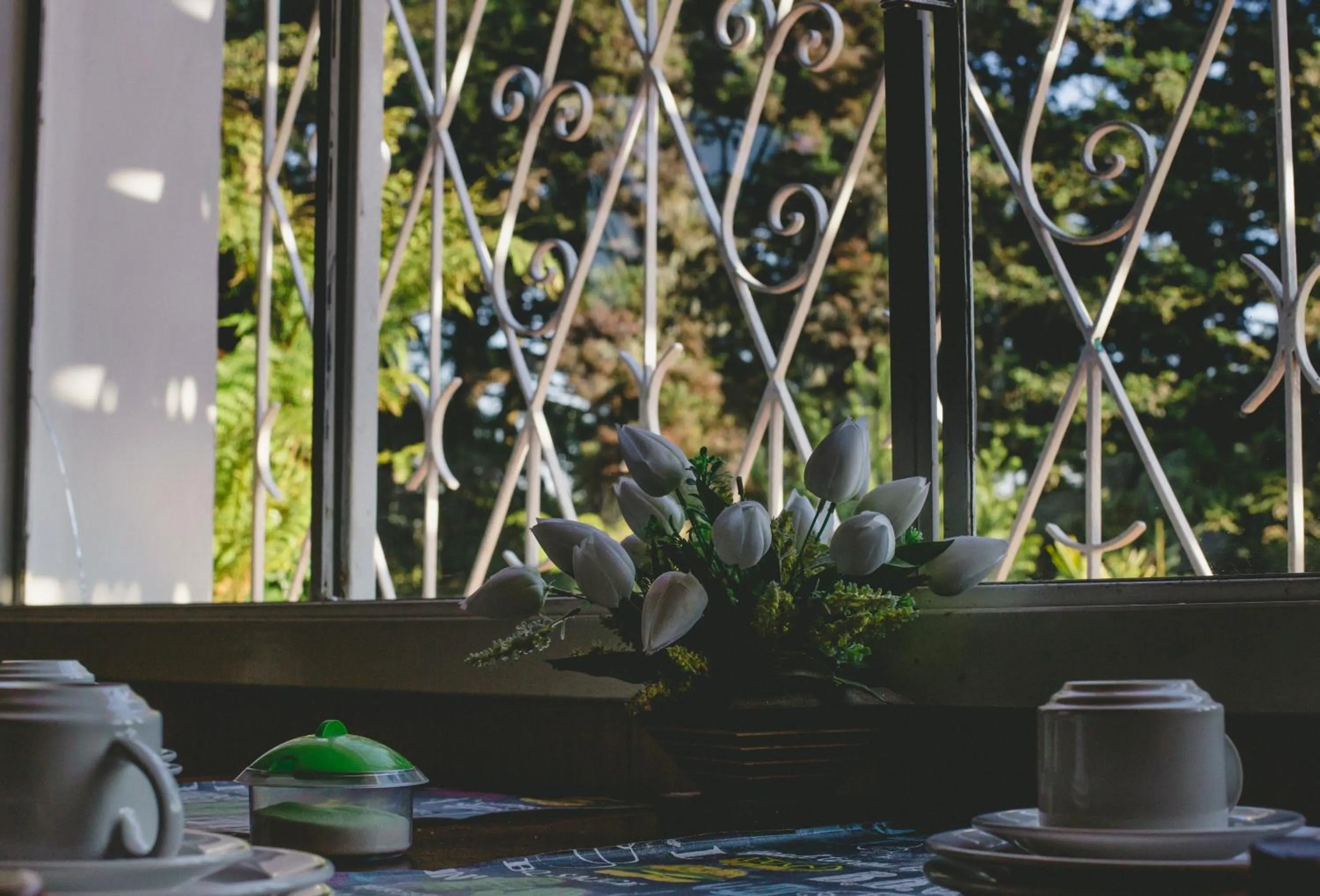Garden view in Pousada São Chico Eco Village