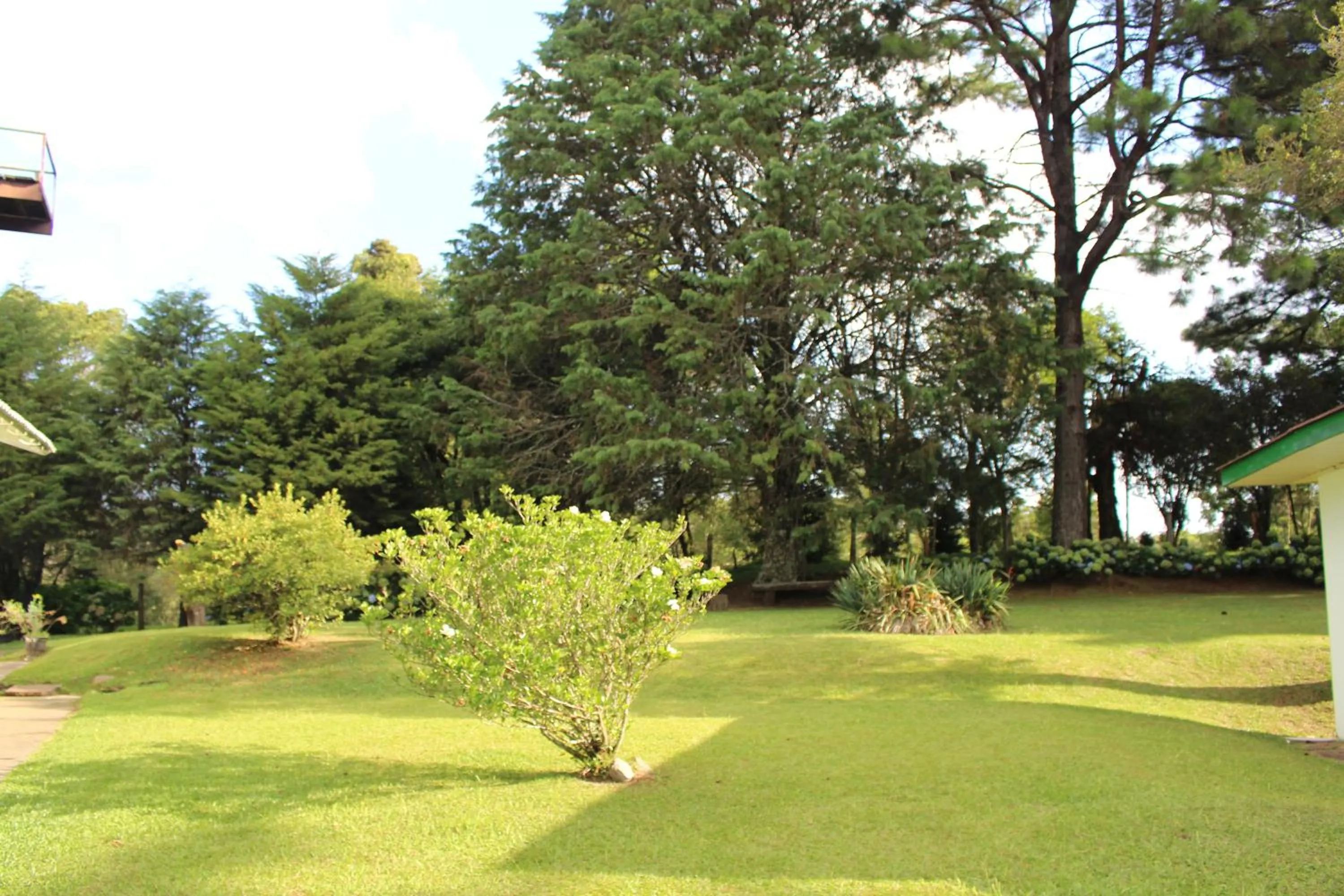 Garden in Pousada São Chico Eco Village
