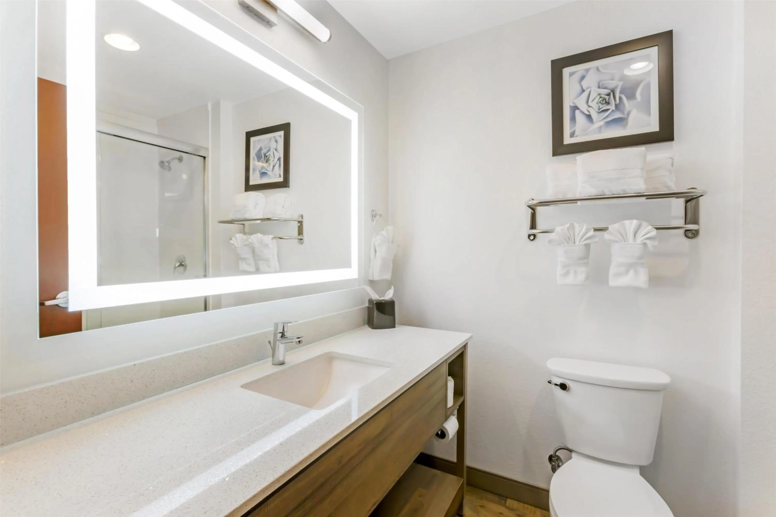 Bathroom in Best Western Plus Casa Grande Inn & Suites