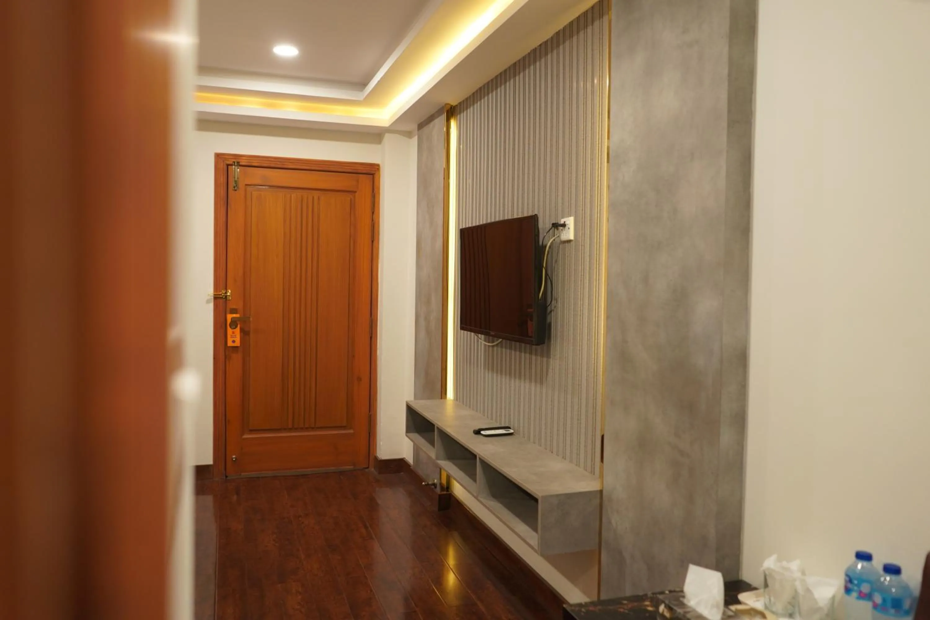 TV and multimedia in Hotel de Papae