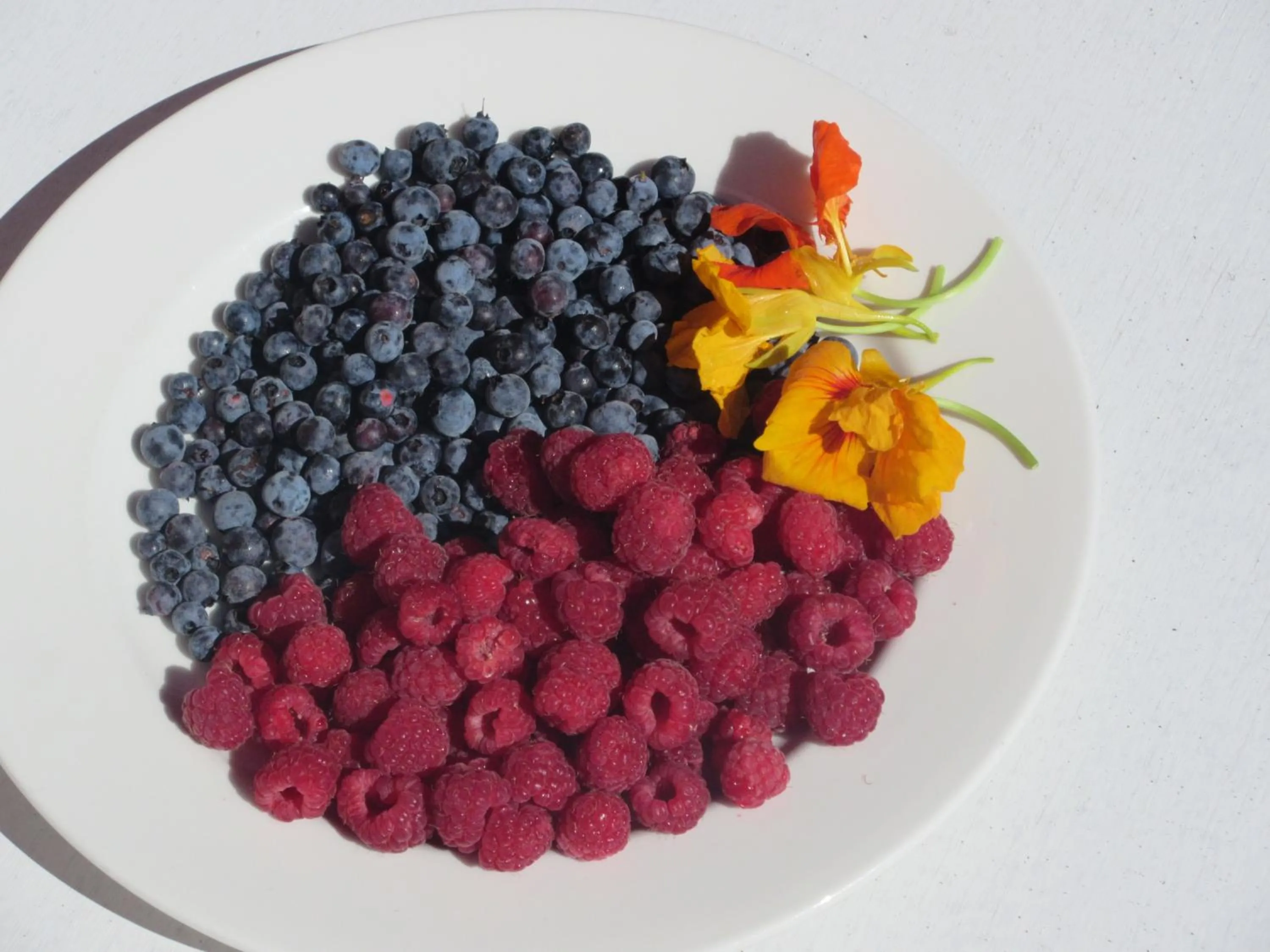 Food close-up in Red Top Motor Inn