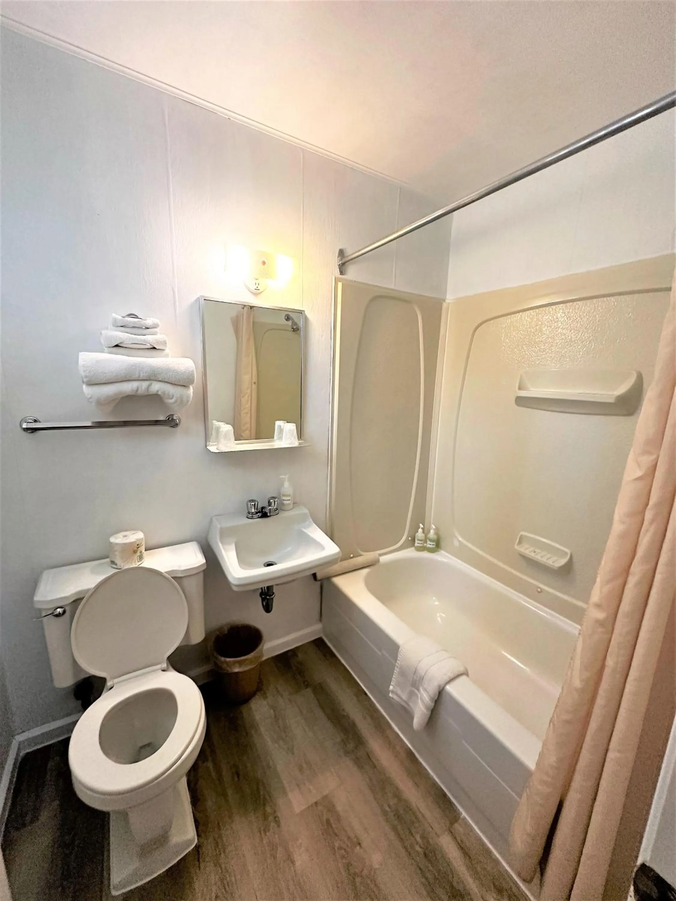 Bathroom in Red Top Motor Inn