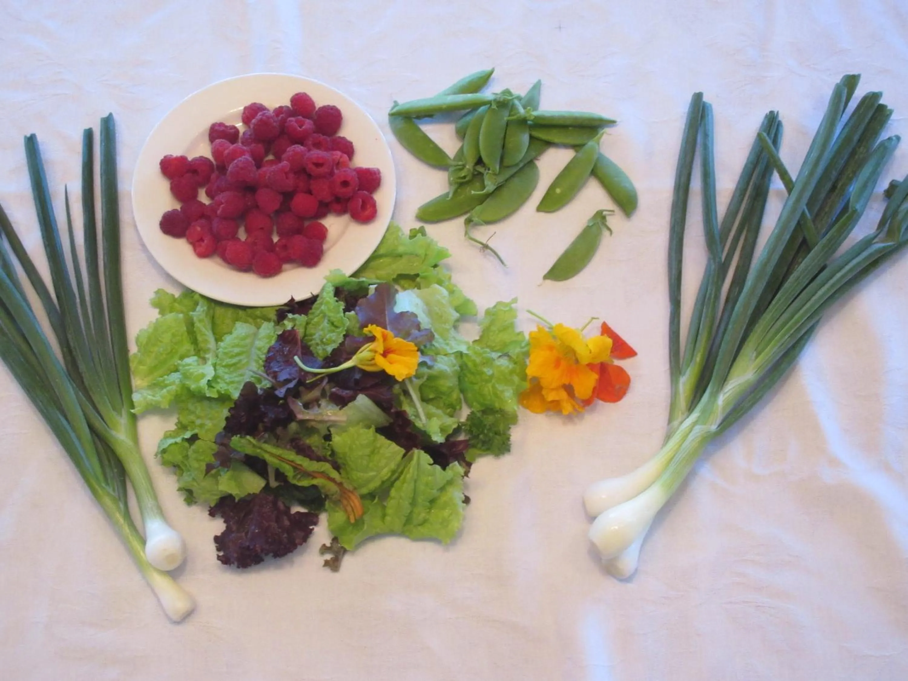 Food in Red Top Motor Inn