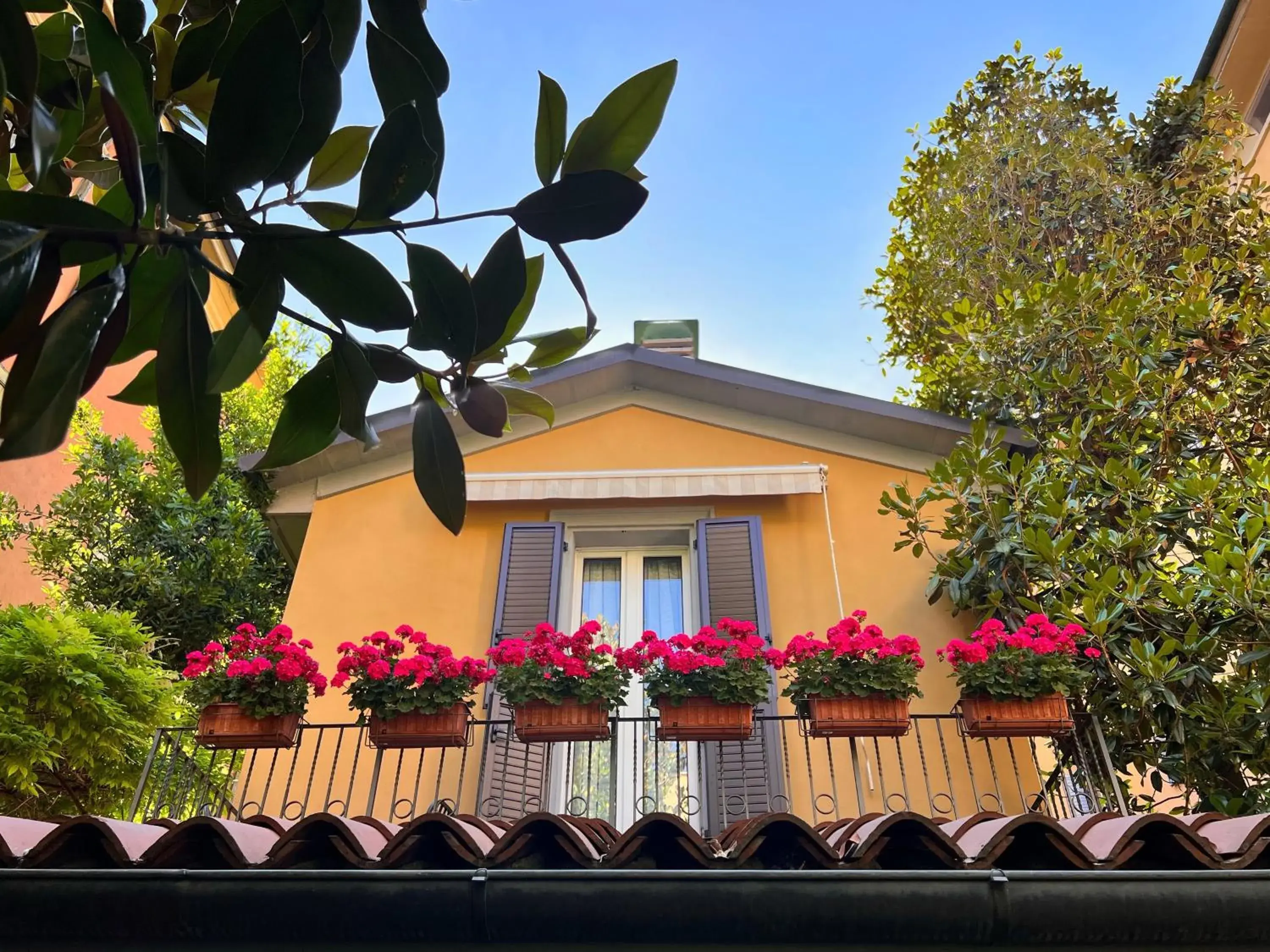 La Magnolia B&B La Magnolia B&B